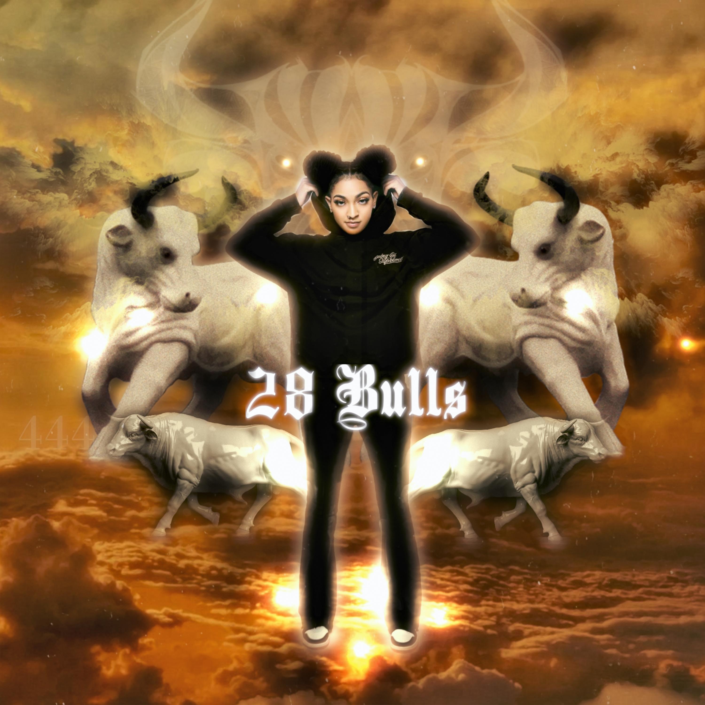 28 Bulls artwork