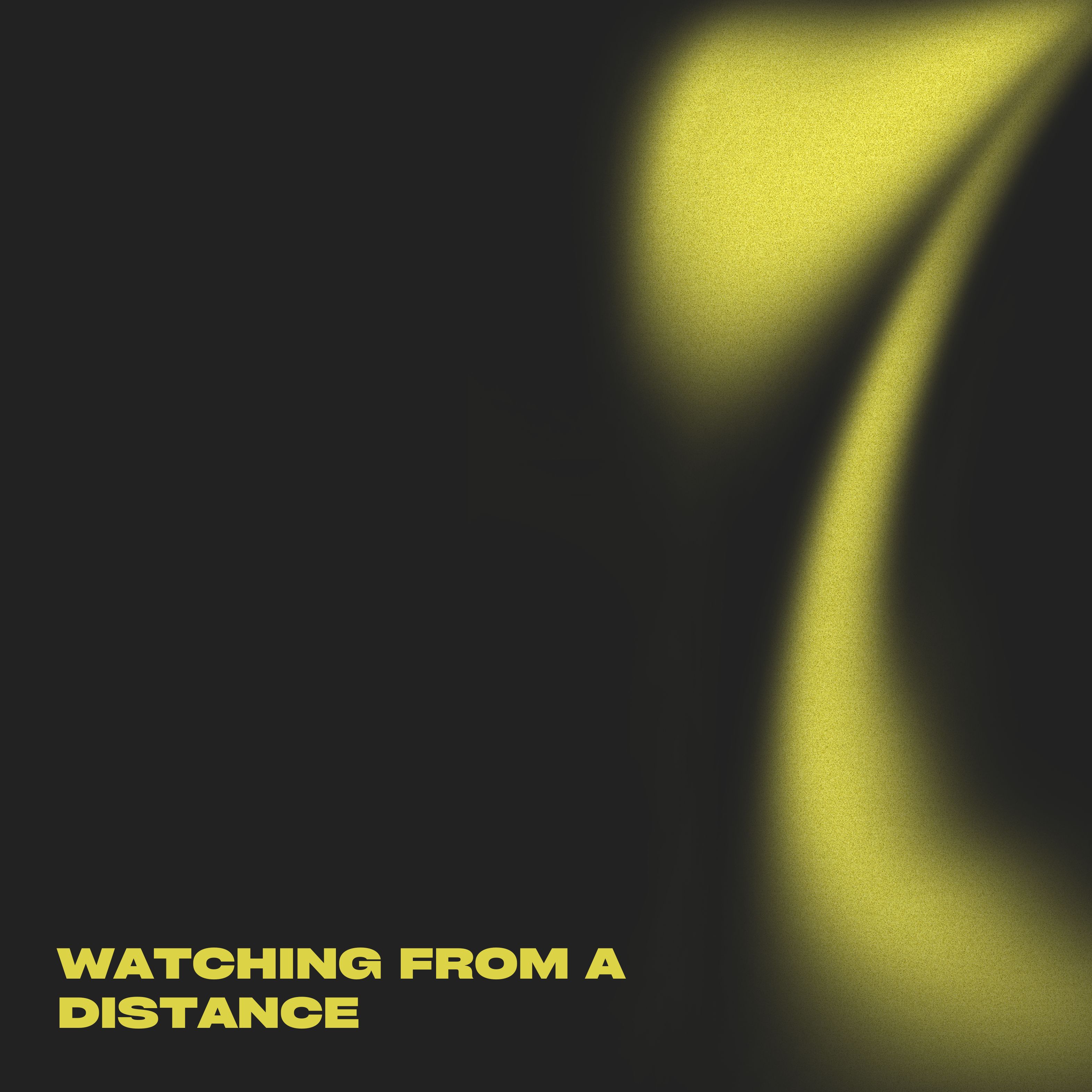 WATCHING FROM A DISTANCE artwork