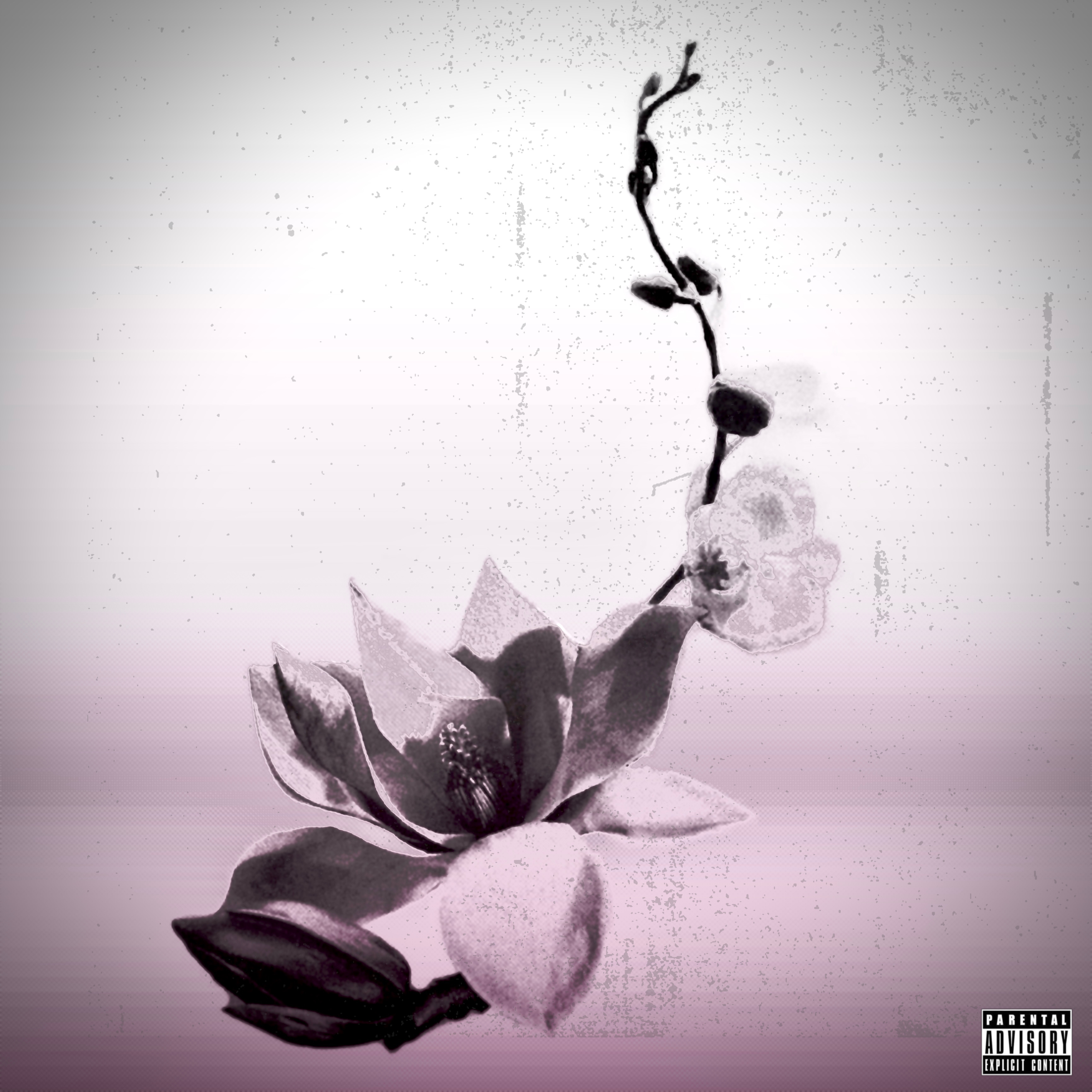 one last time artwork