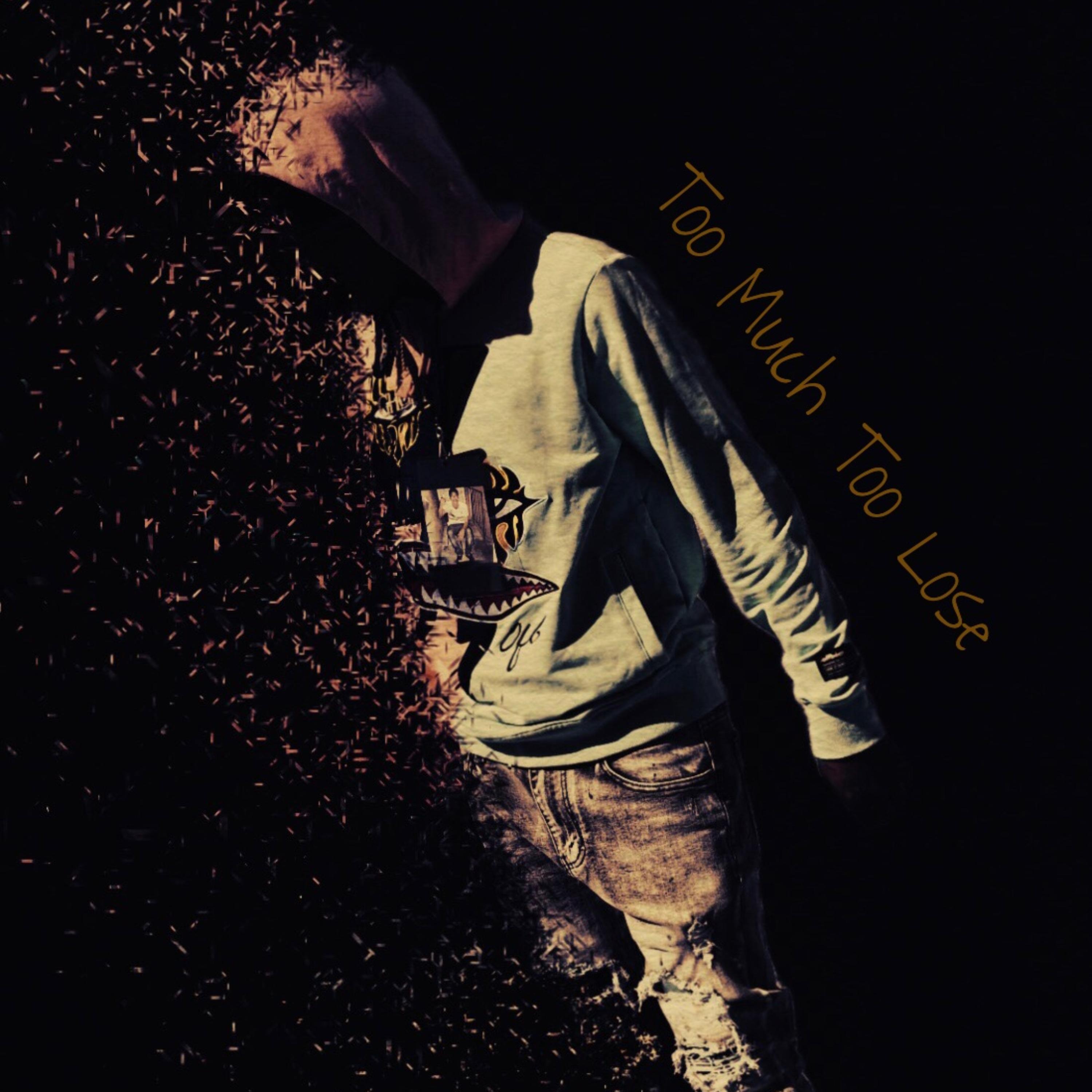 Too Much To Lose artwork