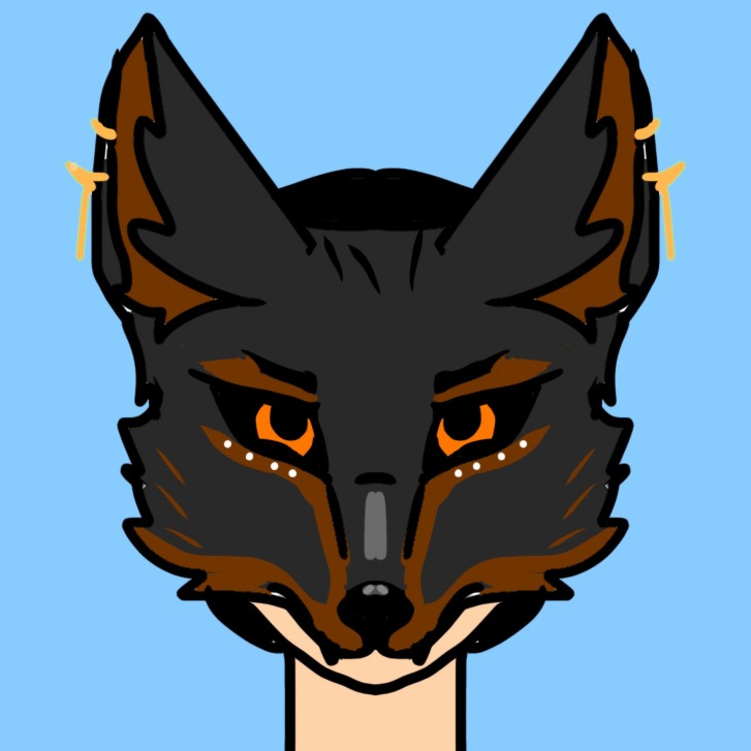 Raccoon Heart artwork