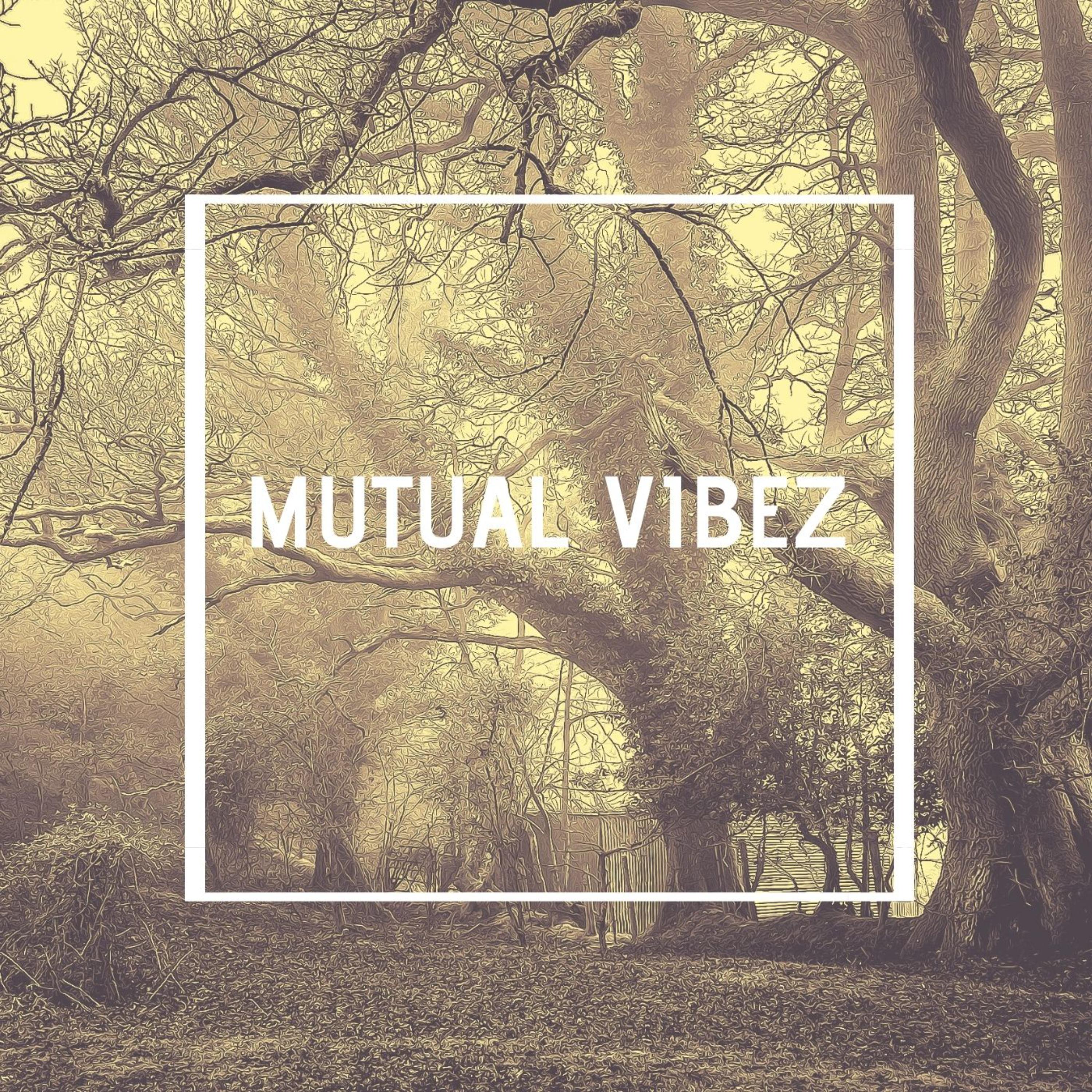 Mutual Vibez artwork