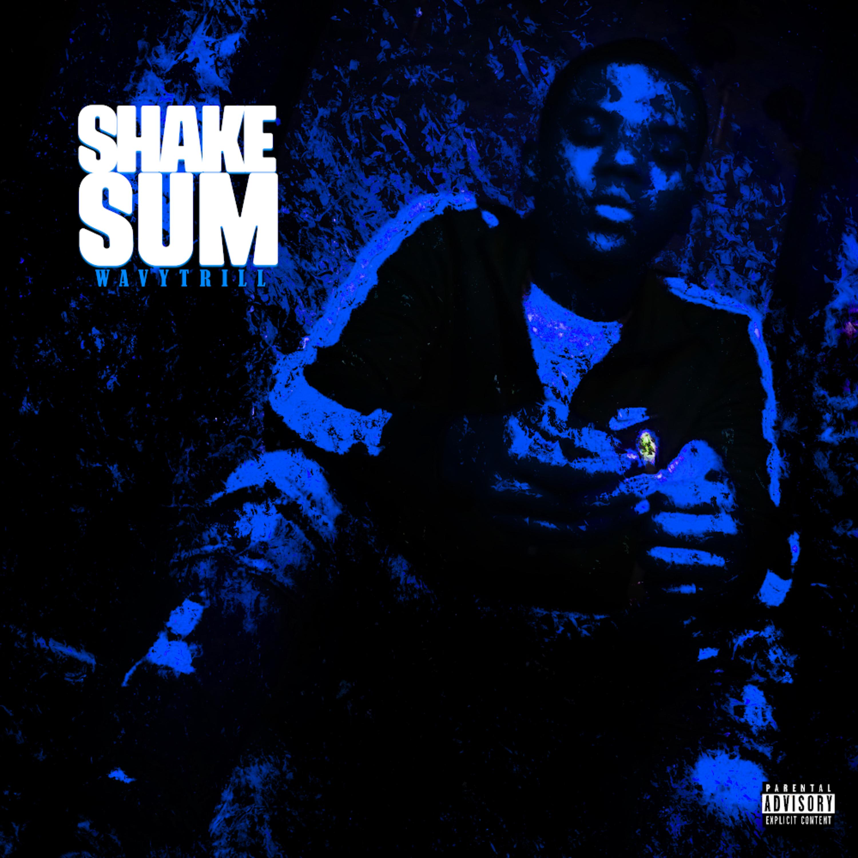 Shake Sum artwork