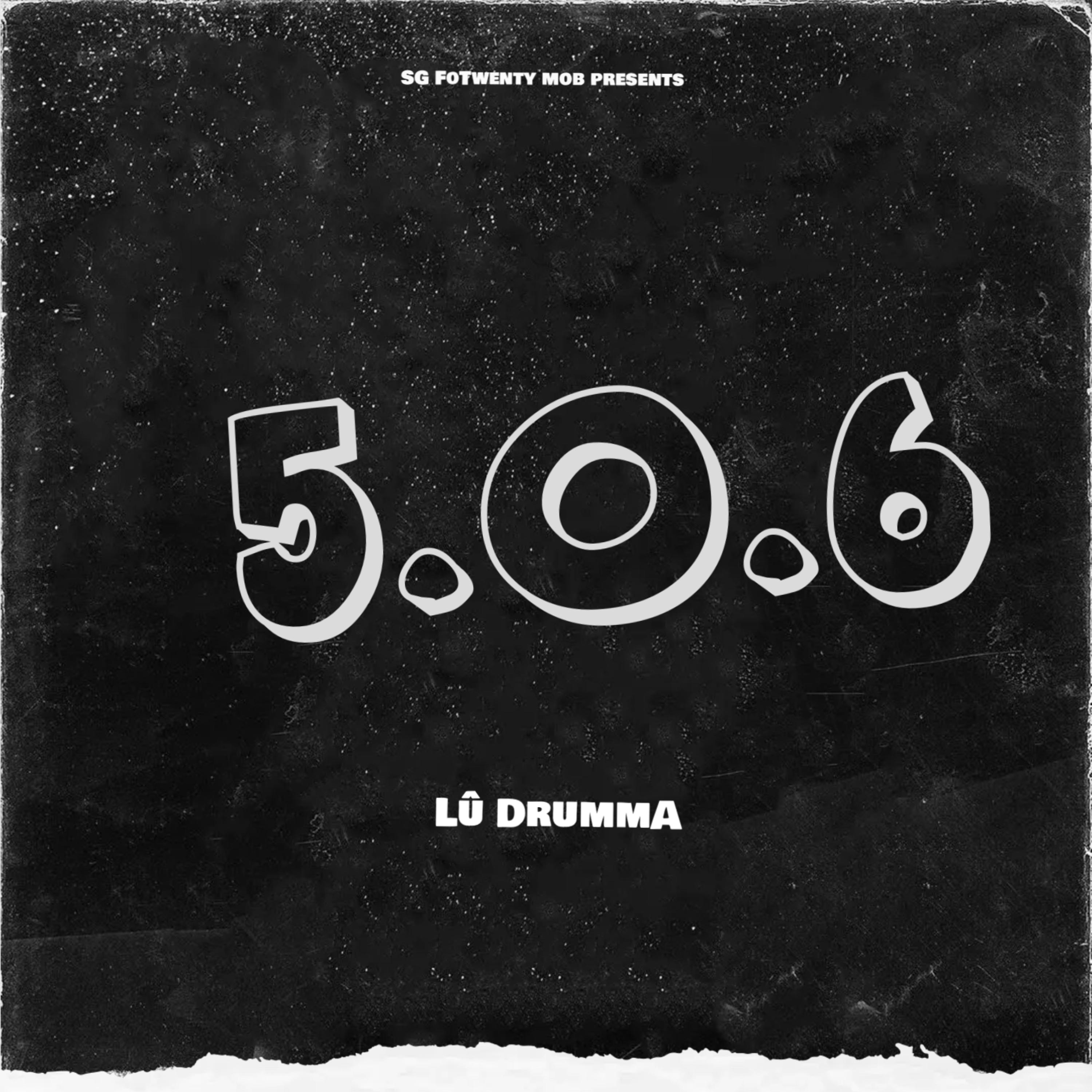 5.0.6. artwork