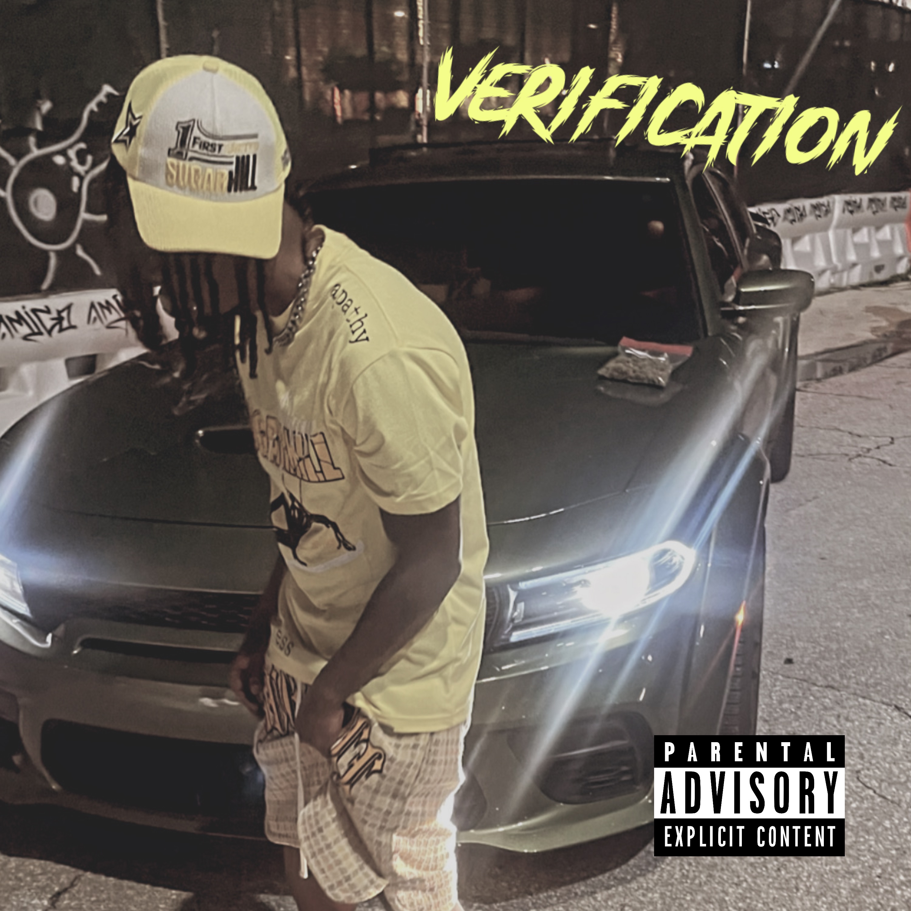 VERIFICATION artwork