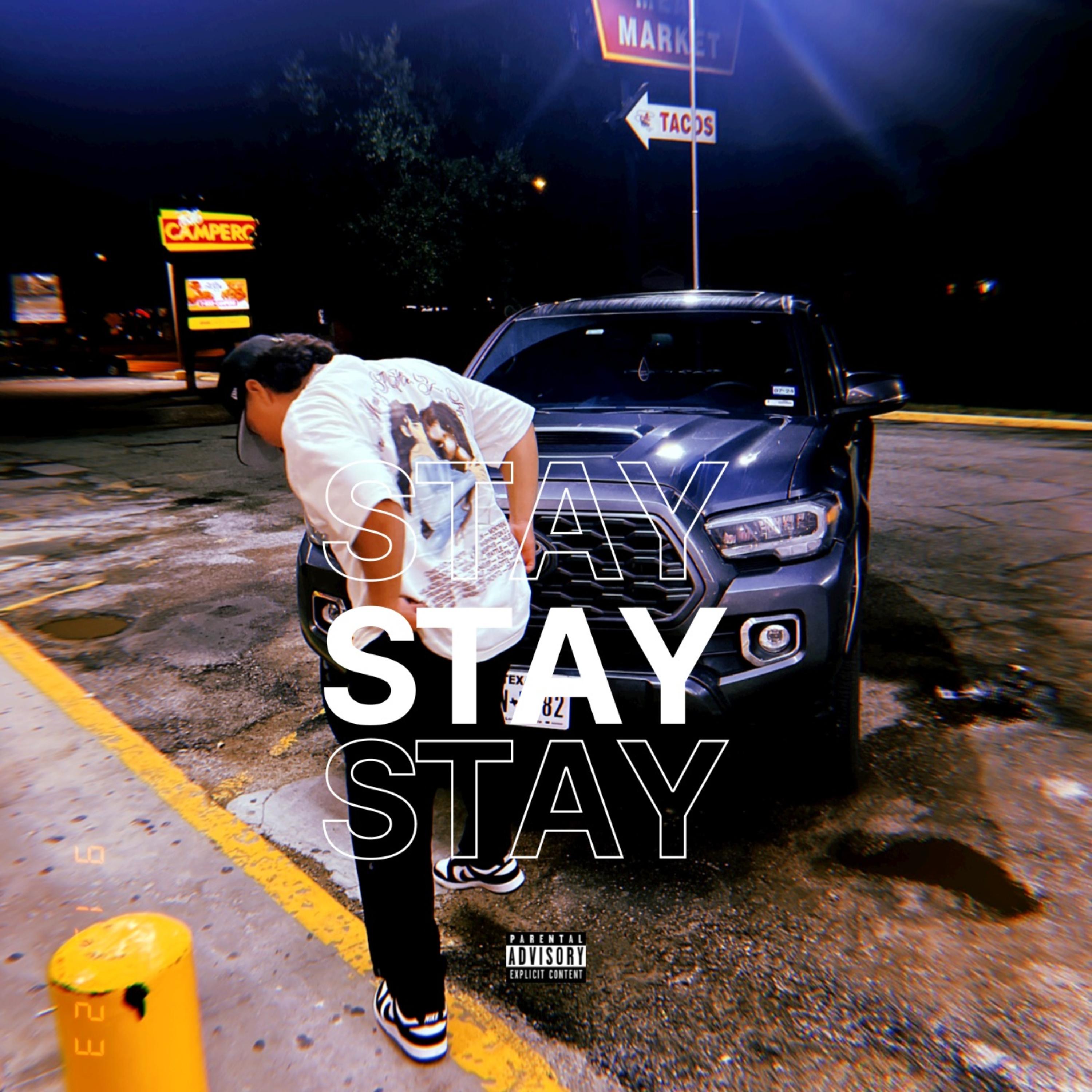 Stay artwork