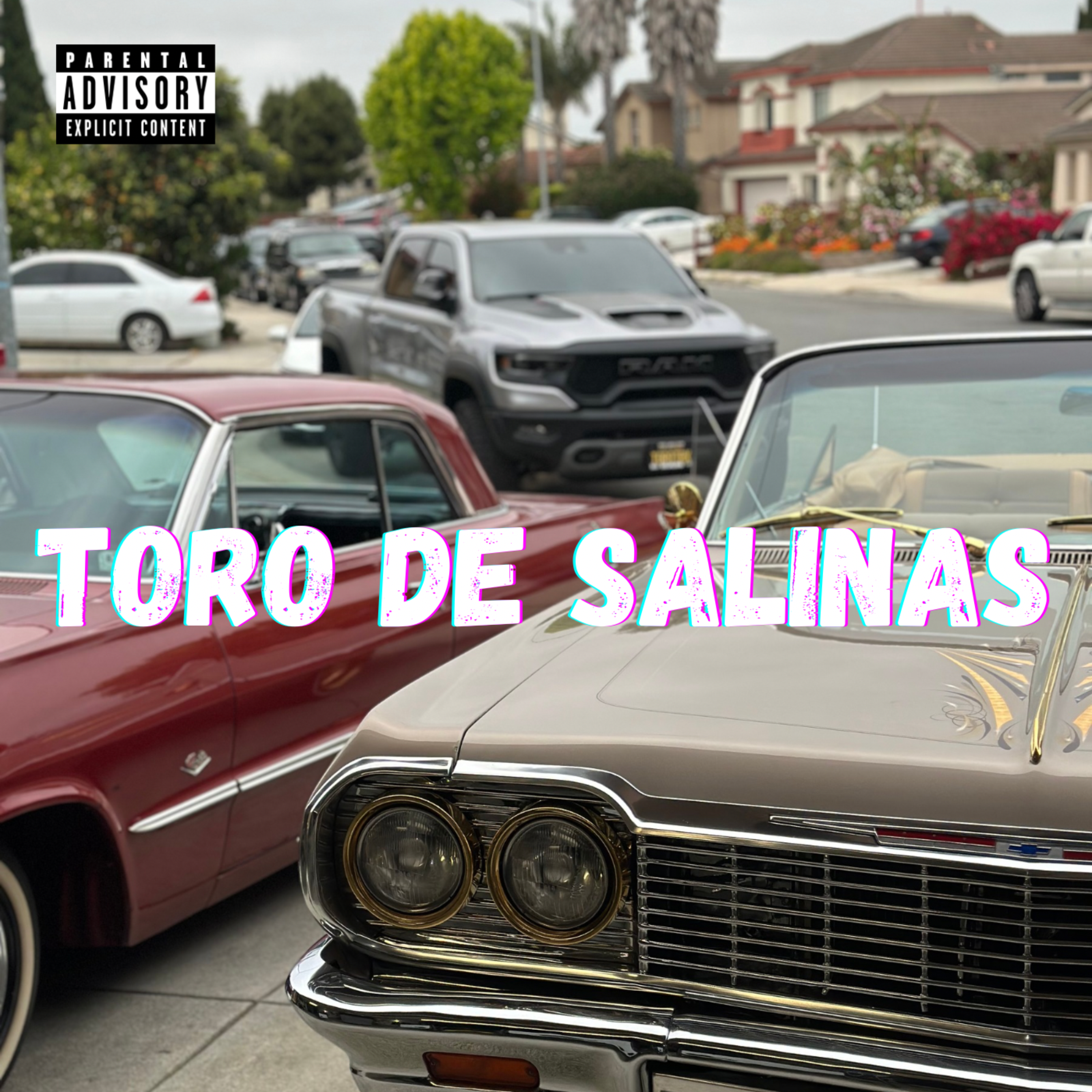 Toro De Salinas artwork