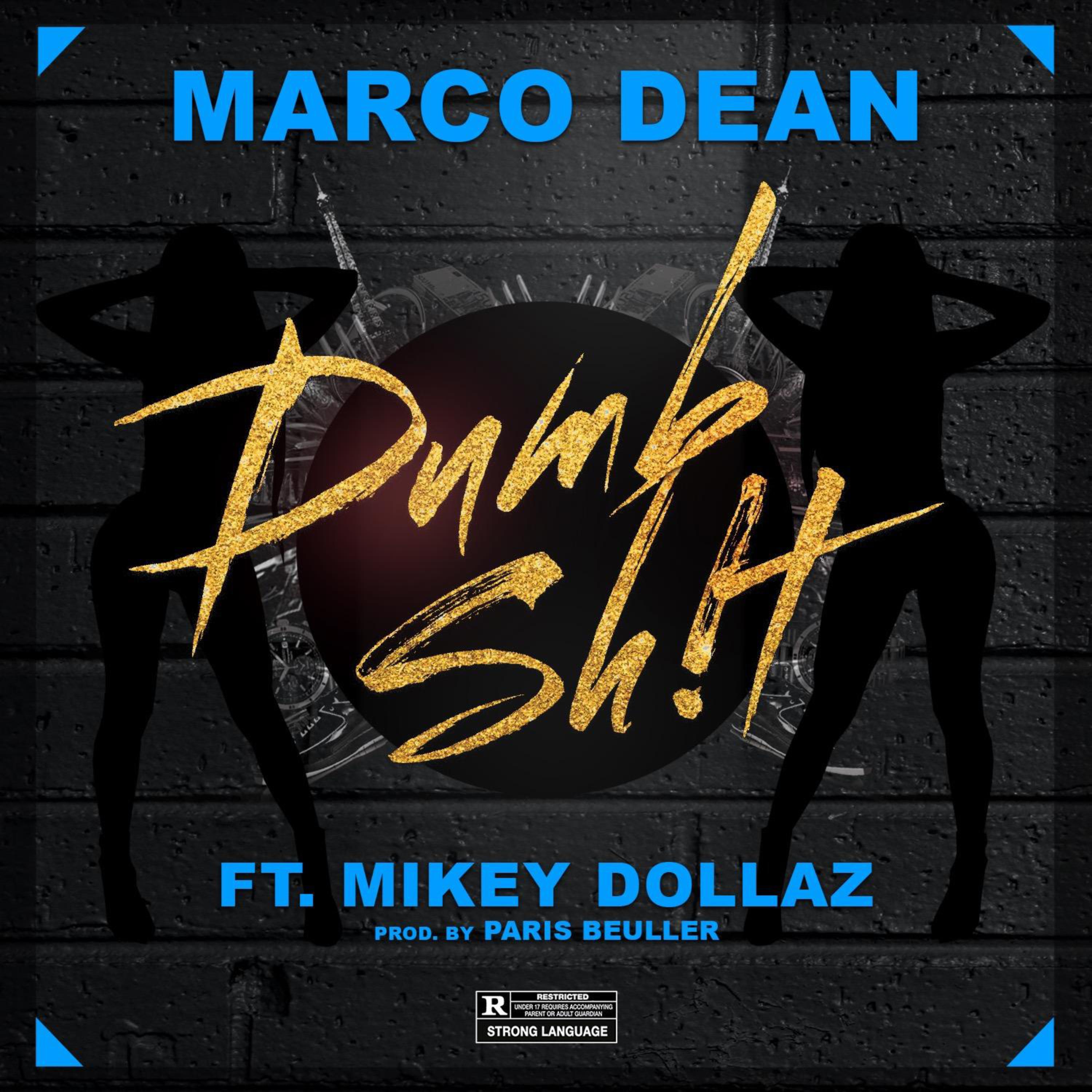 Dumb Sh!t  artwork