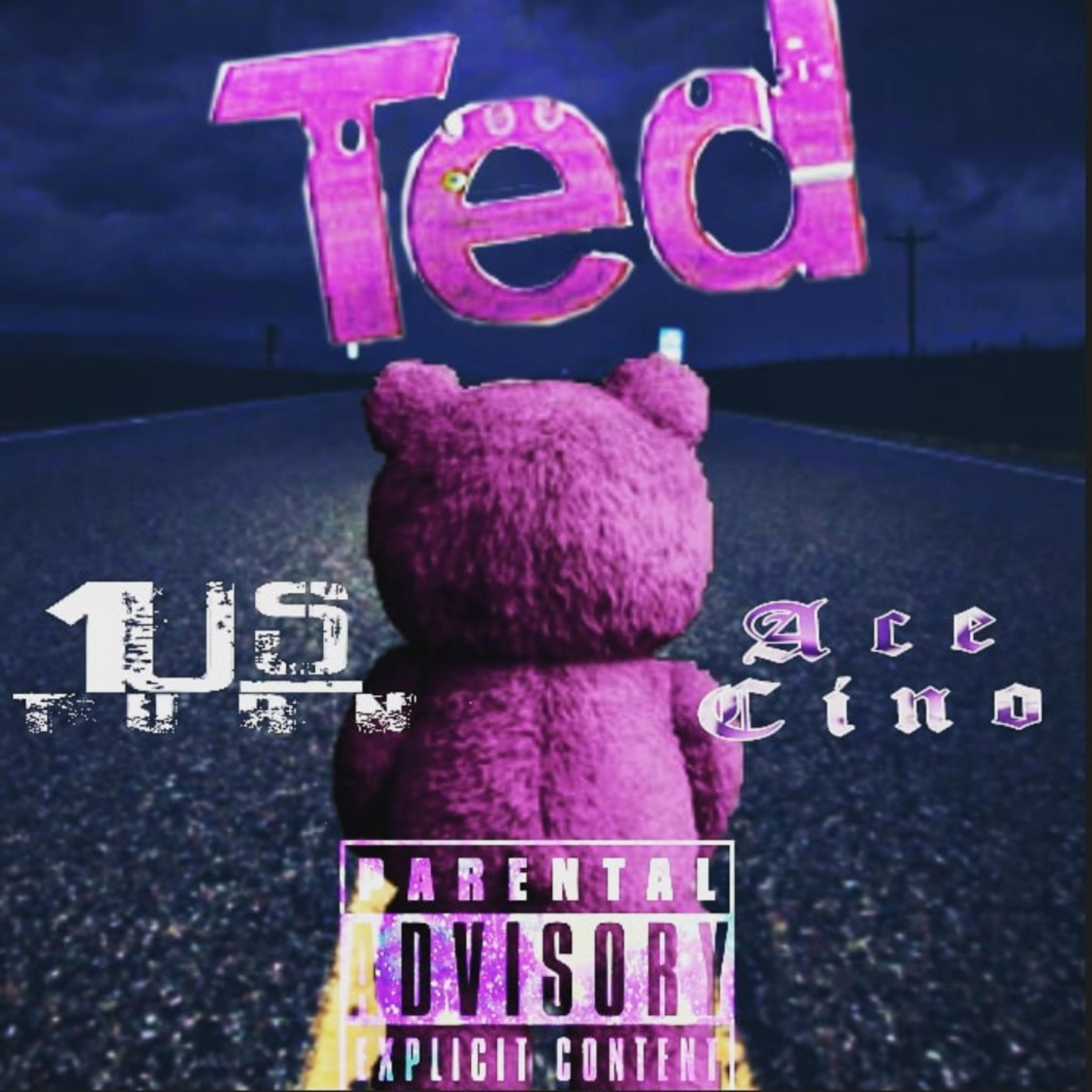 Ted by Turn DiBiasi cover art