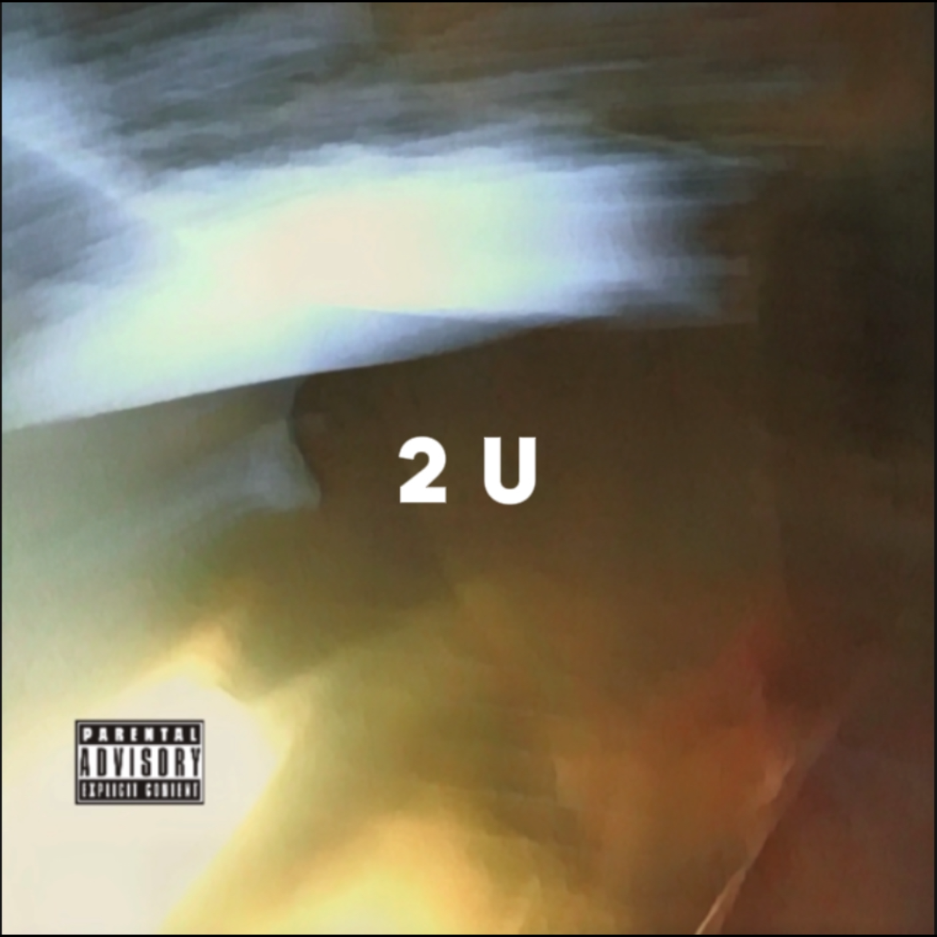 2 U artwork