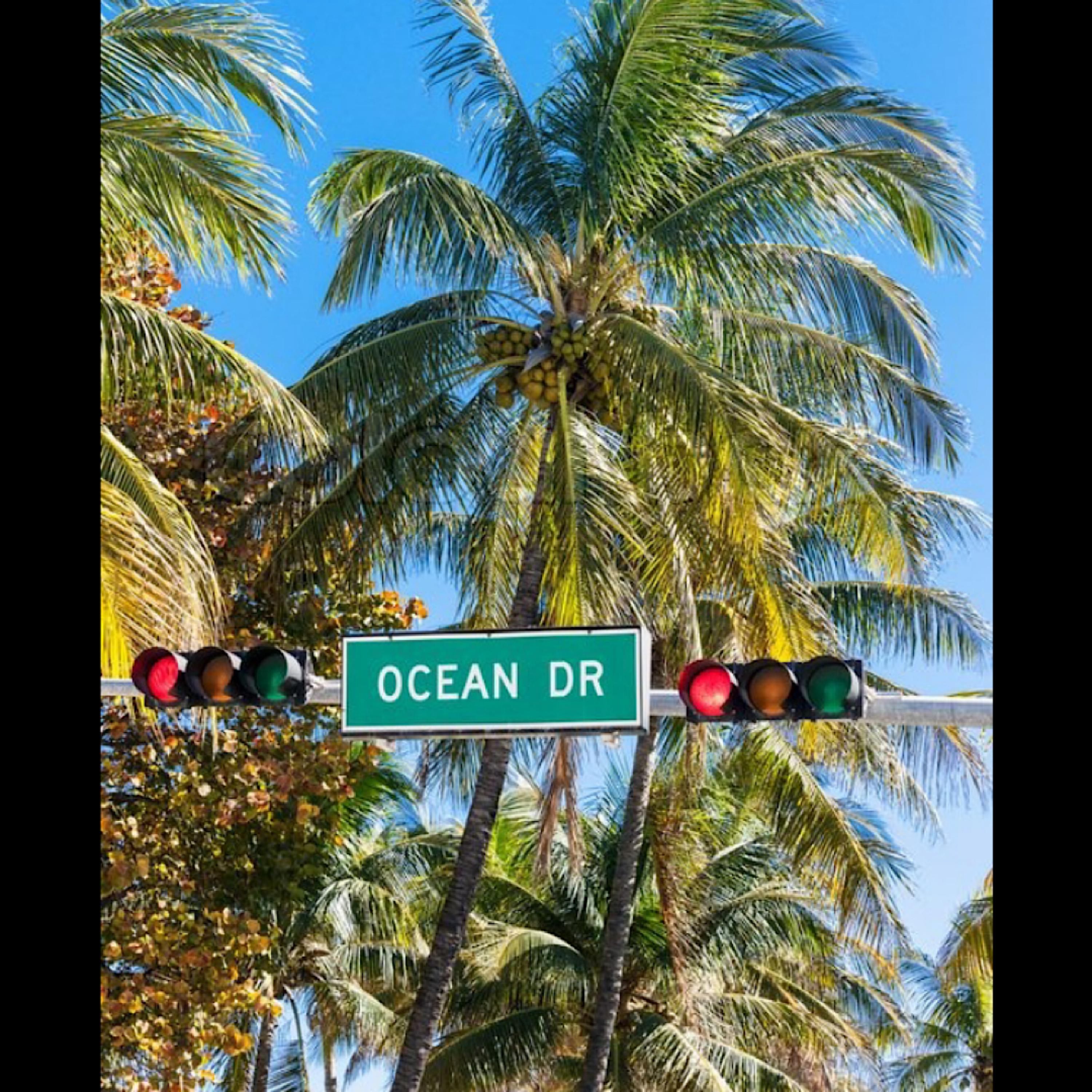 Ocean Dr artwork