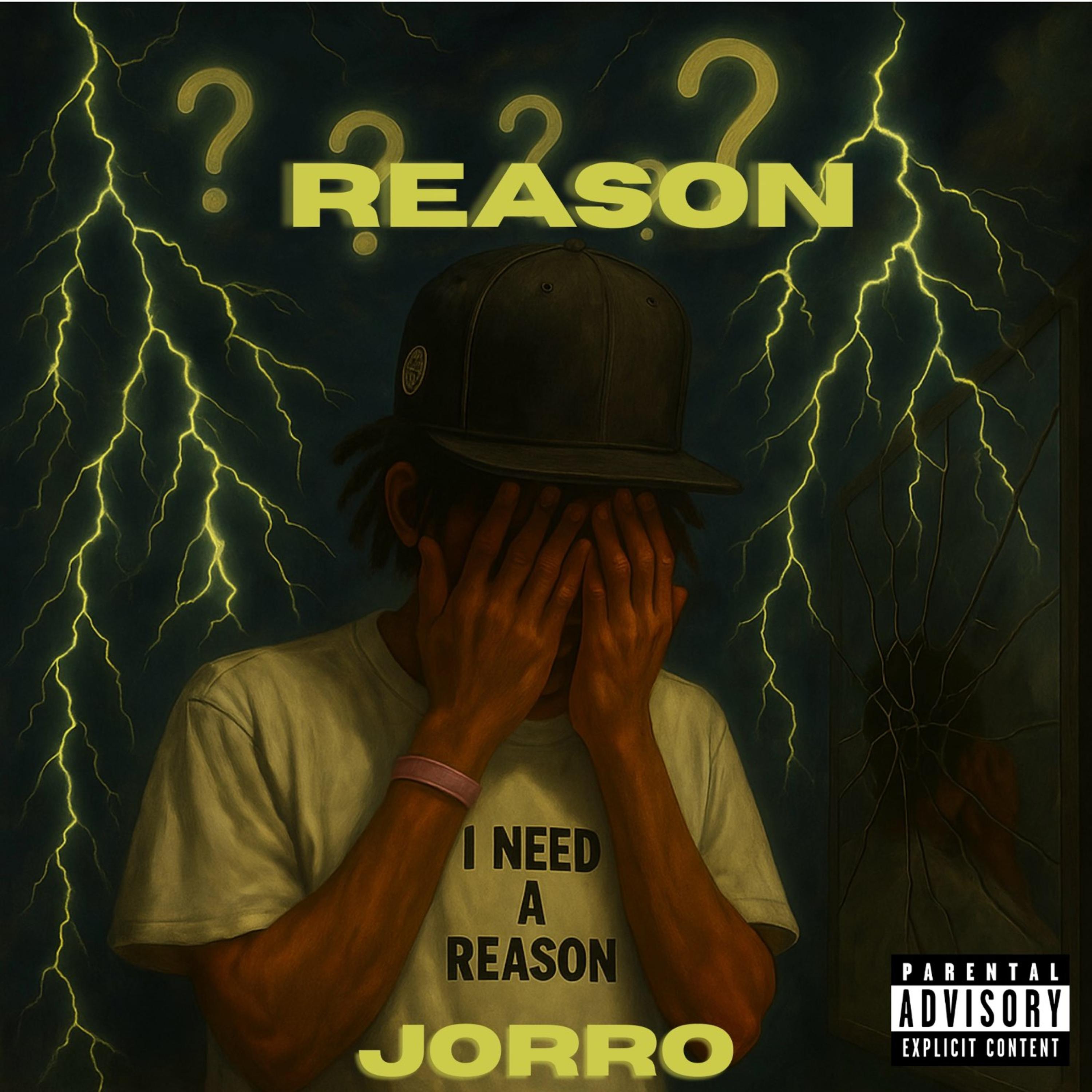 Reason artwork