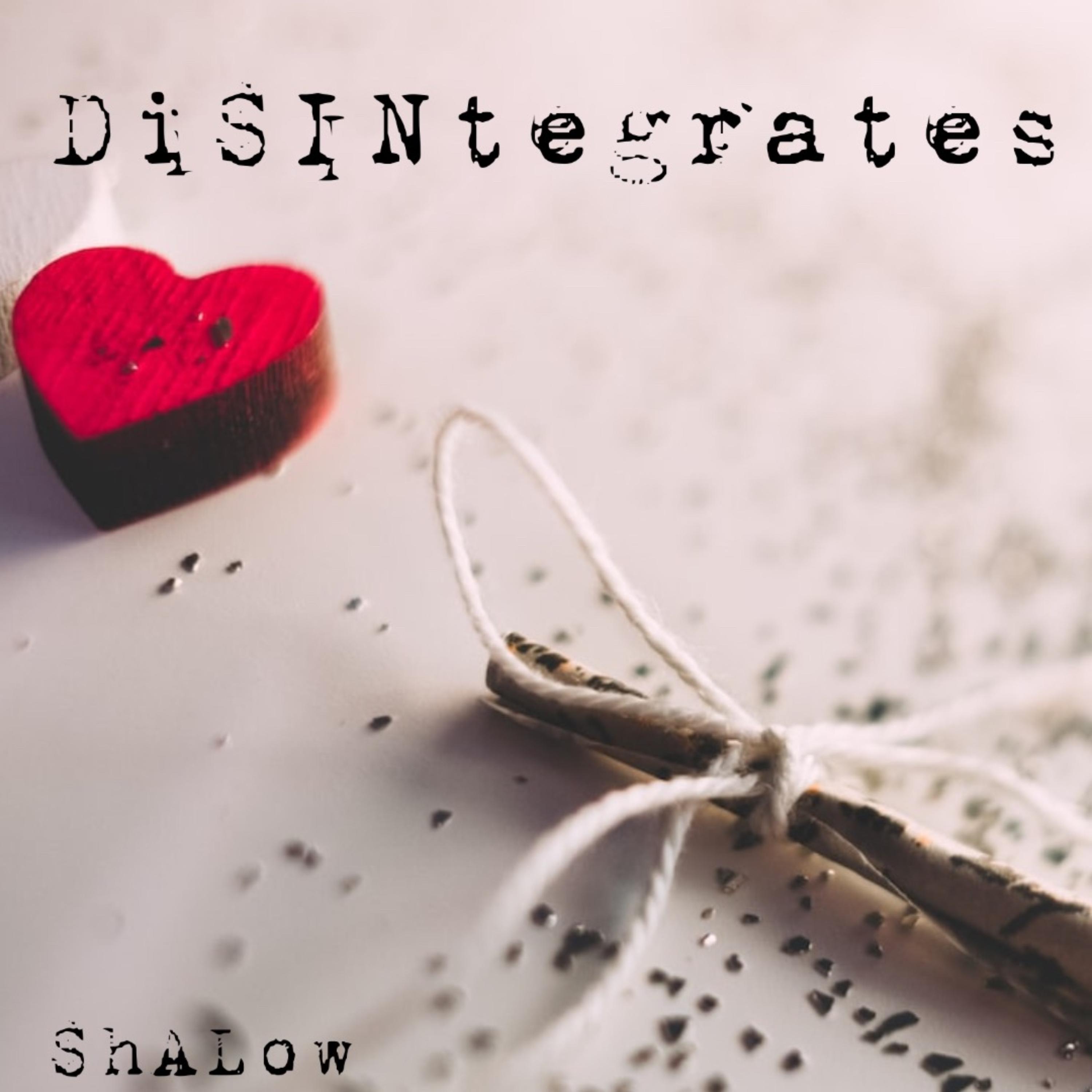 DiSINtegrates artwork