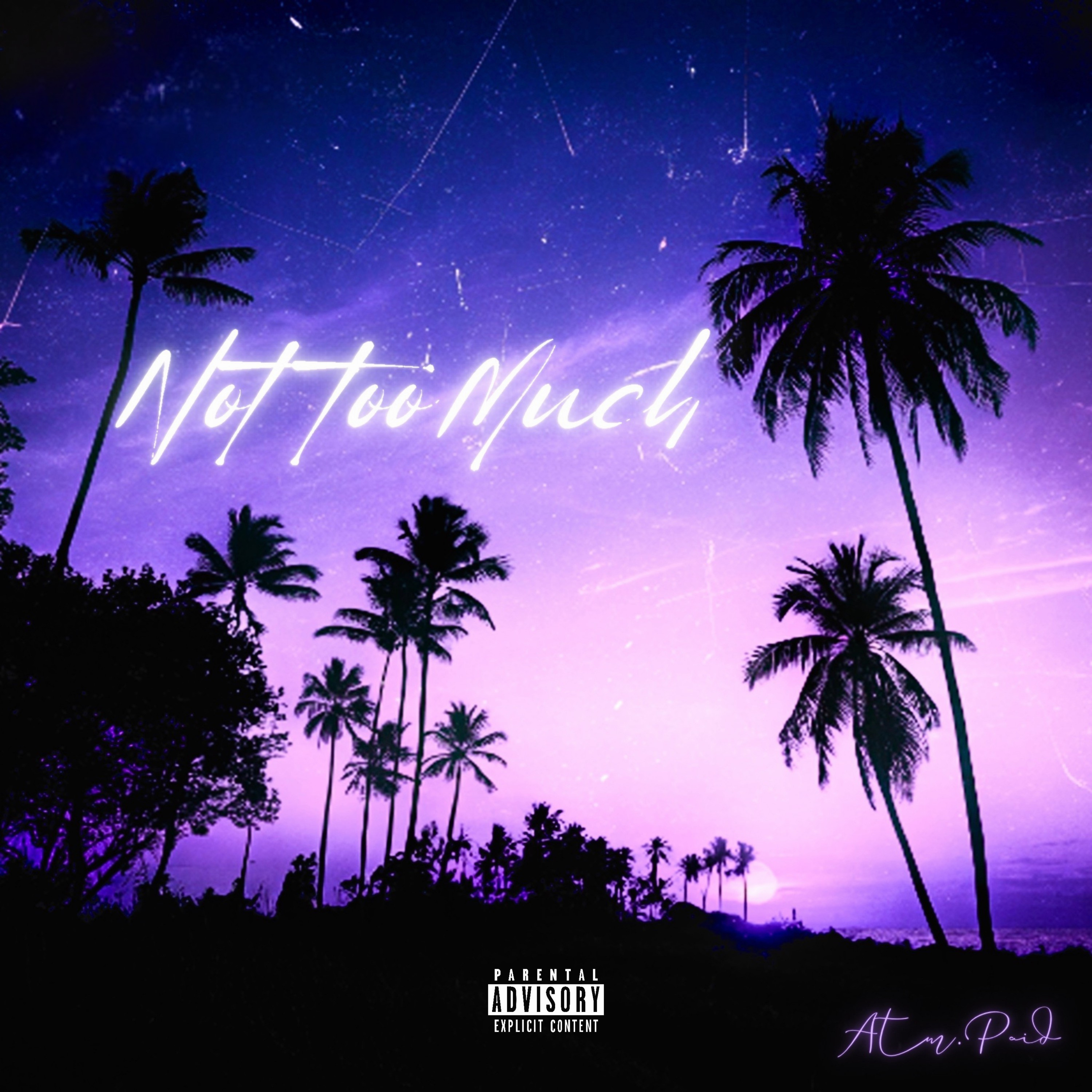 Not Too Much artwork