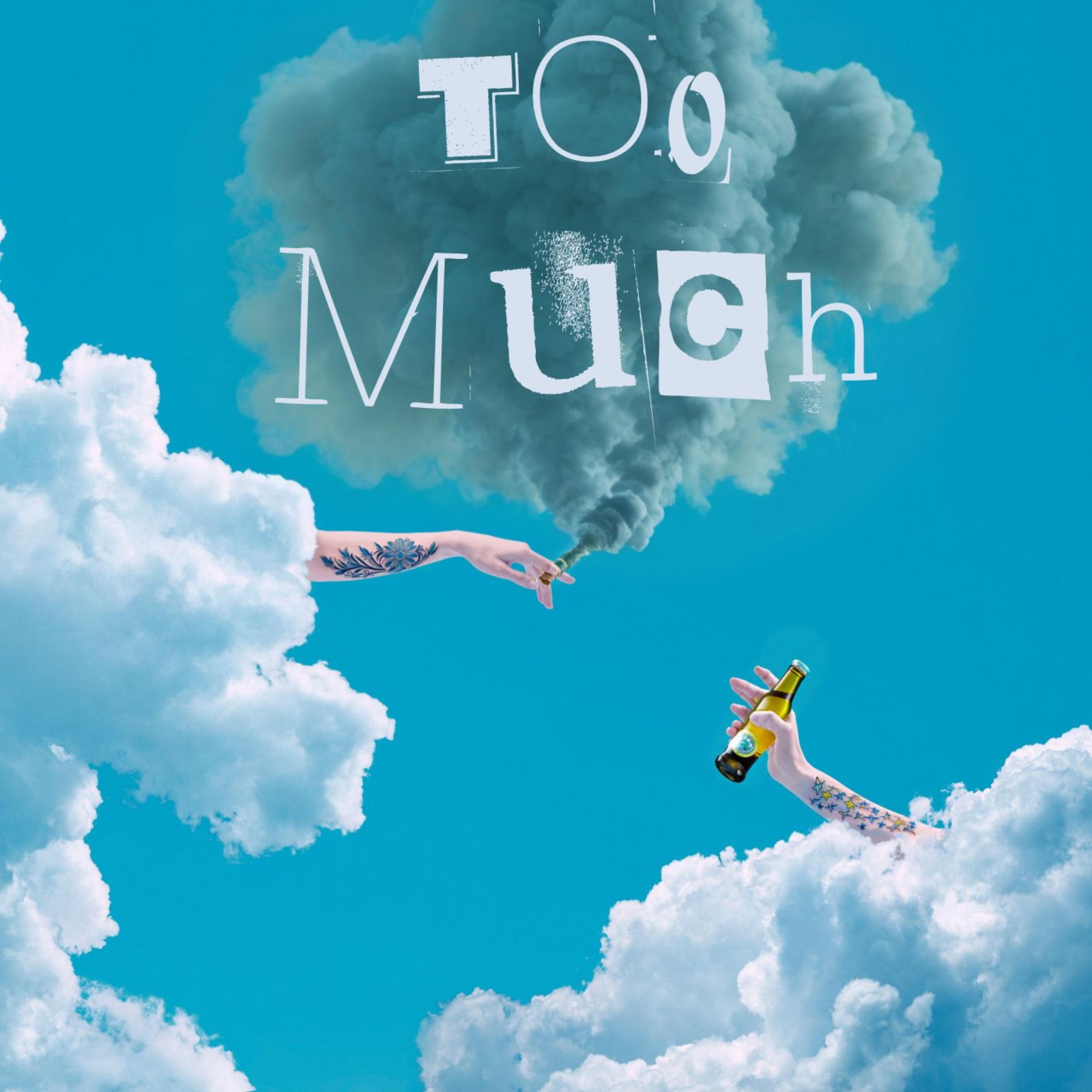 Too Much artwork