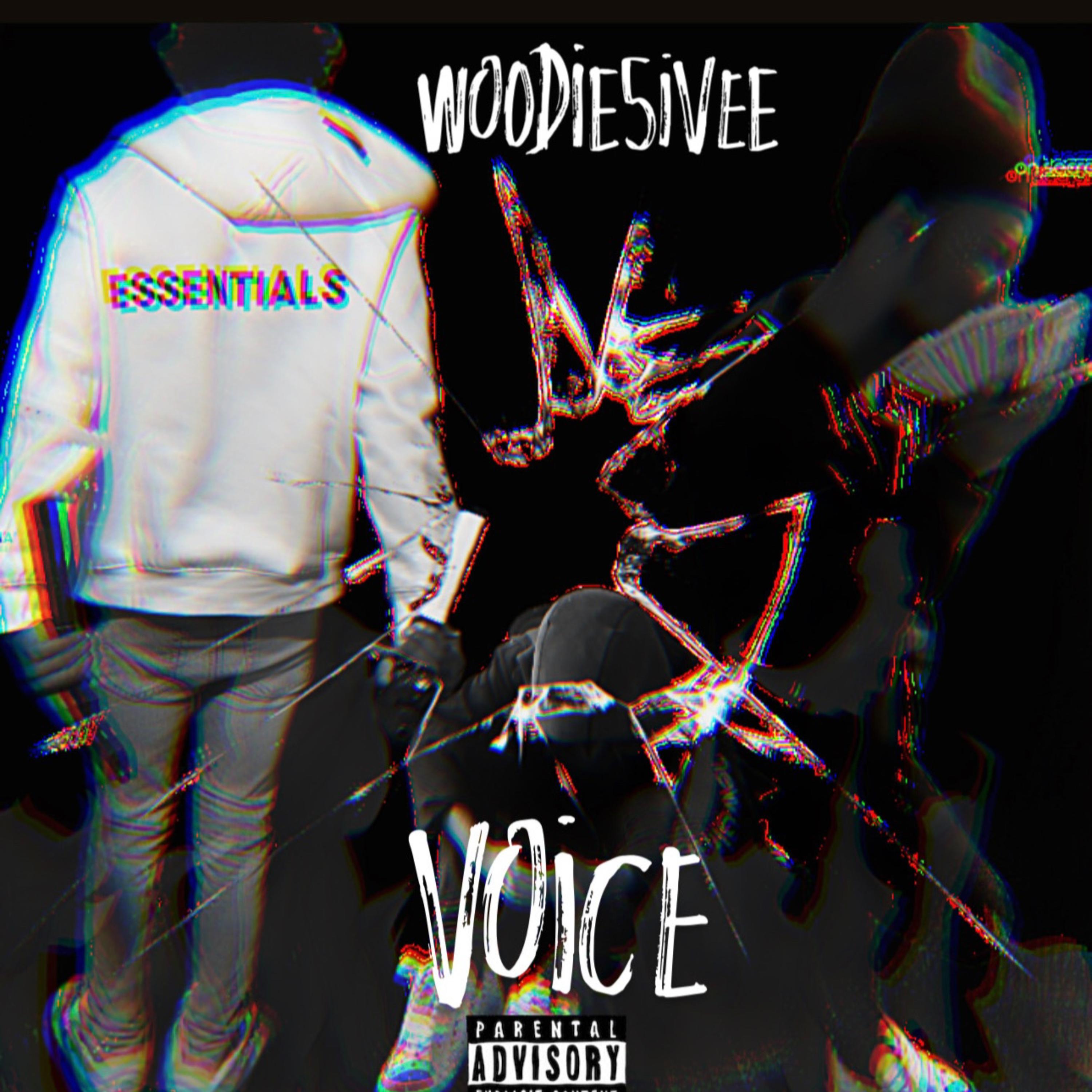 woodie voice artwork