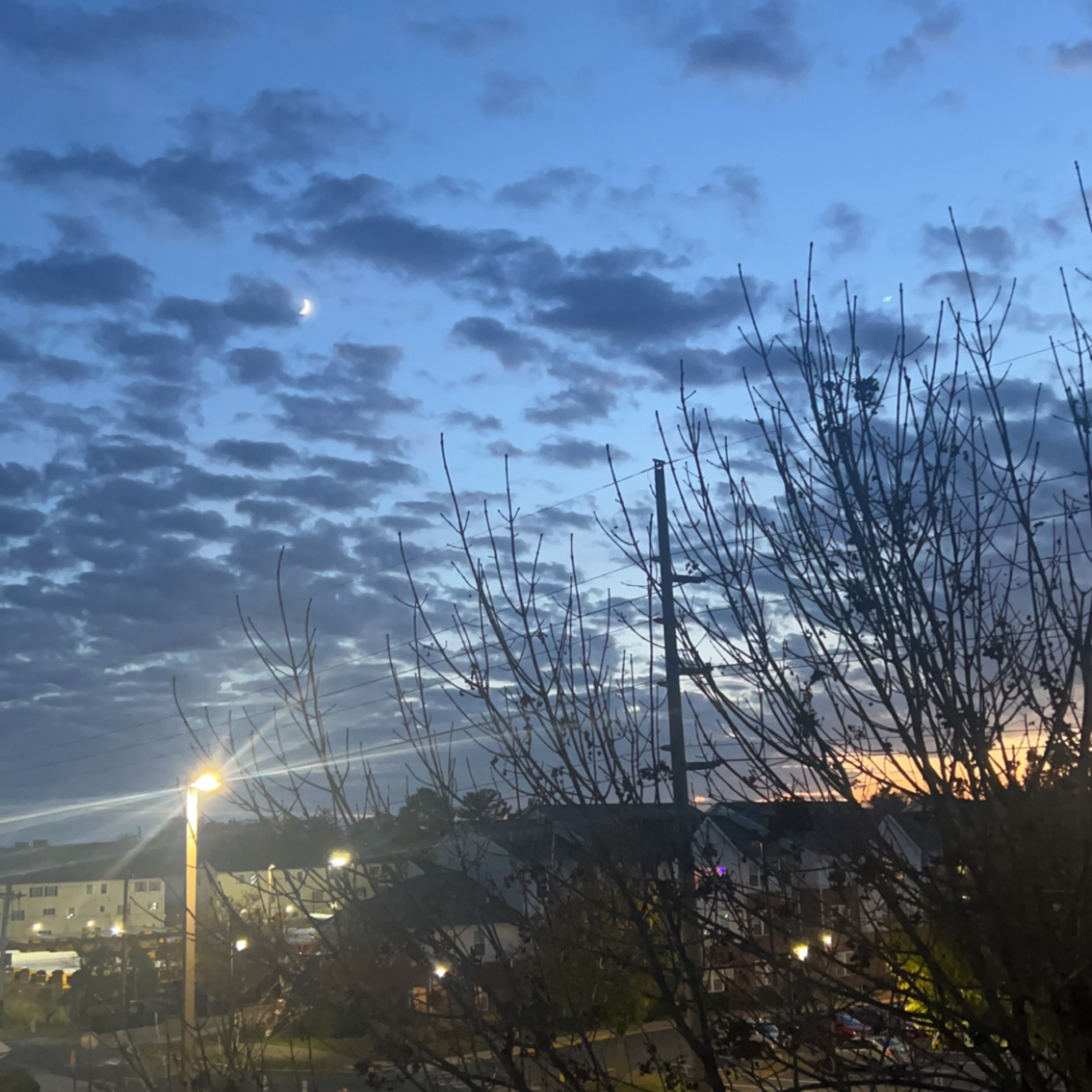 Flaws (The Art Of Oblivion) artwork