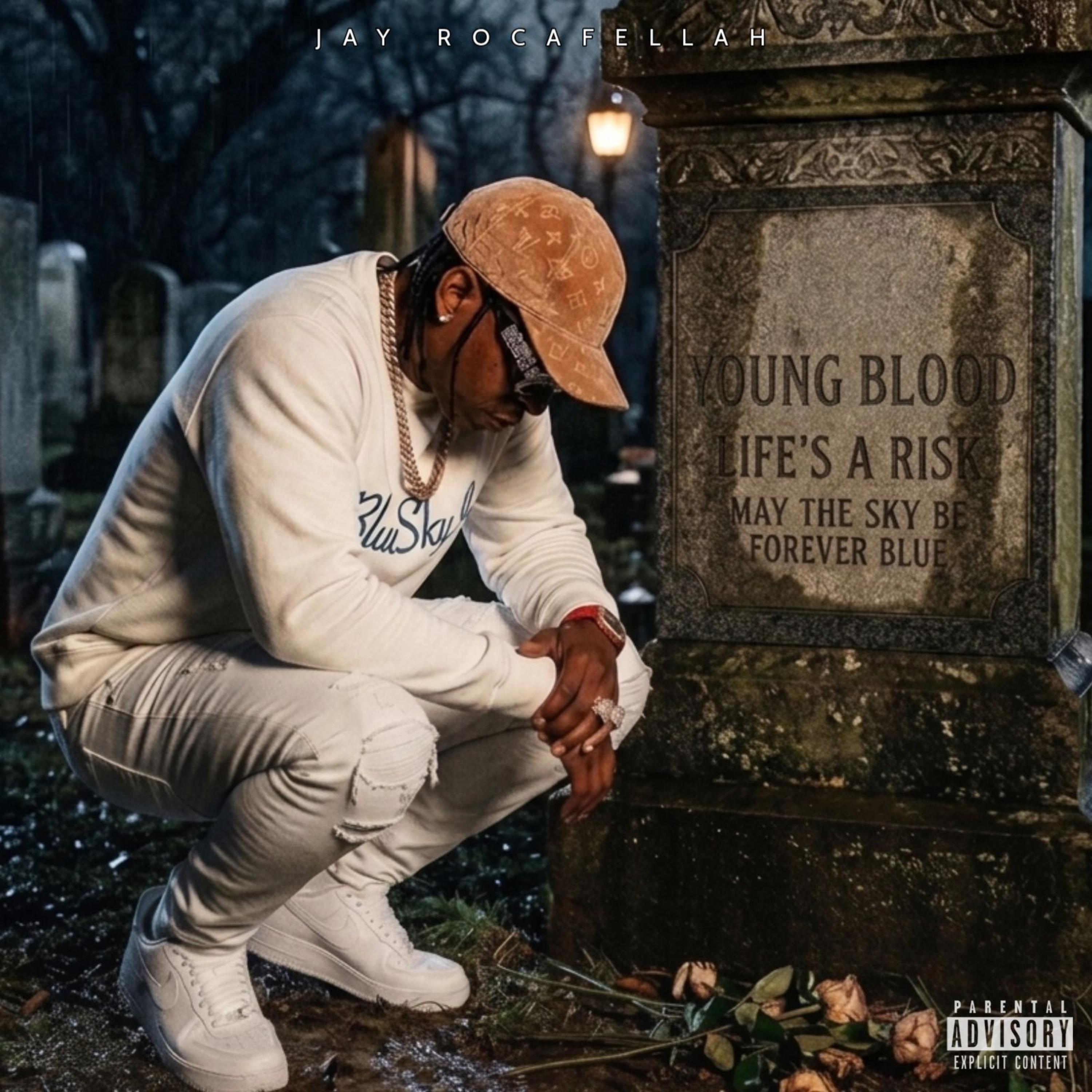 Life's A Risk artwork