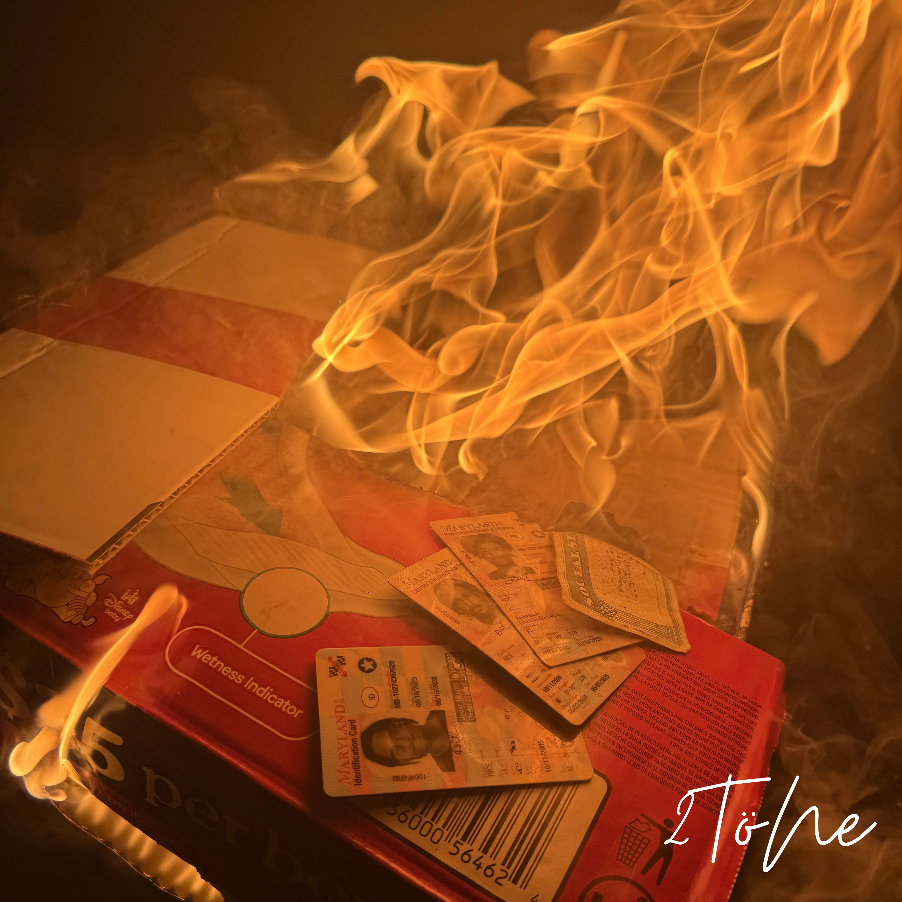 let the past burn artwork