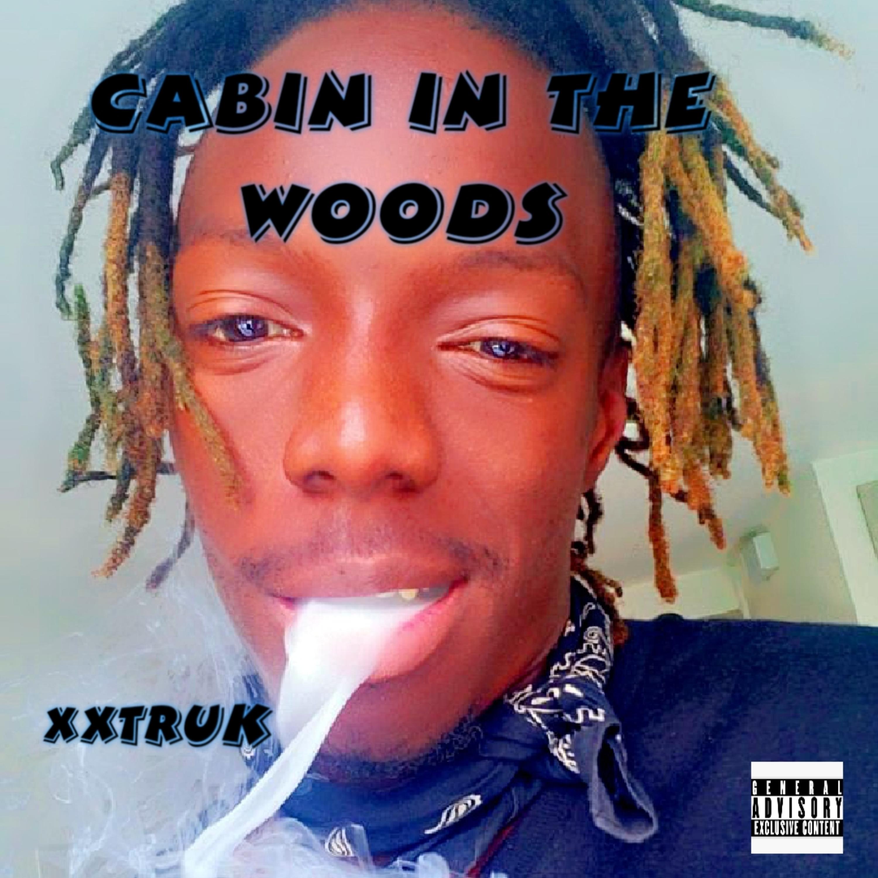 Cabin inThe Woods artwork
