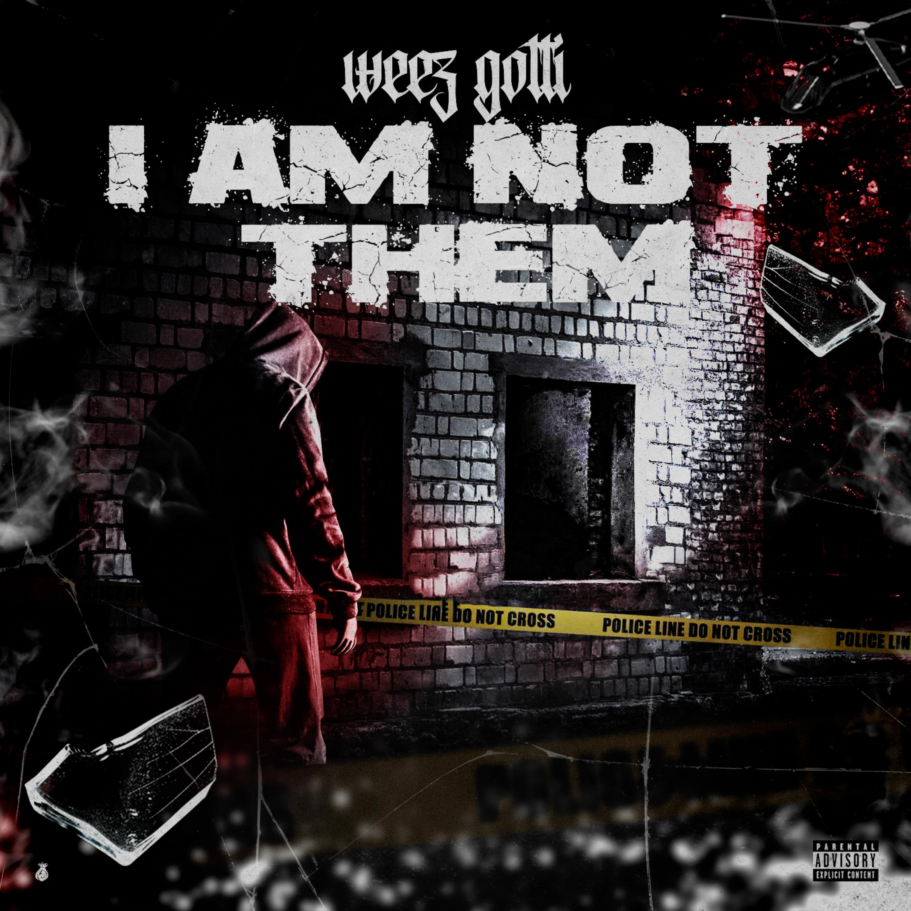 I Am Not Them artwork