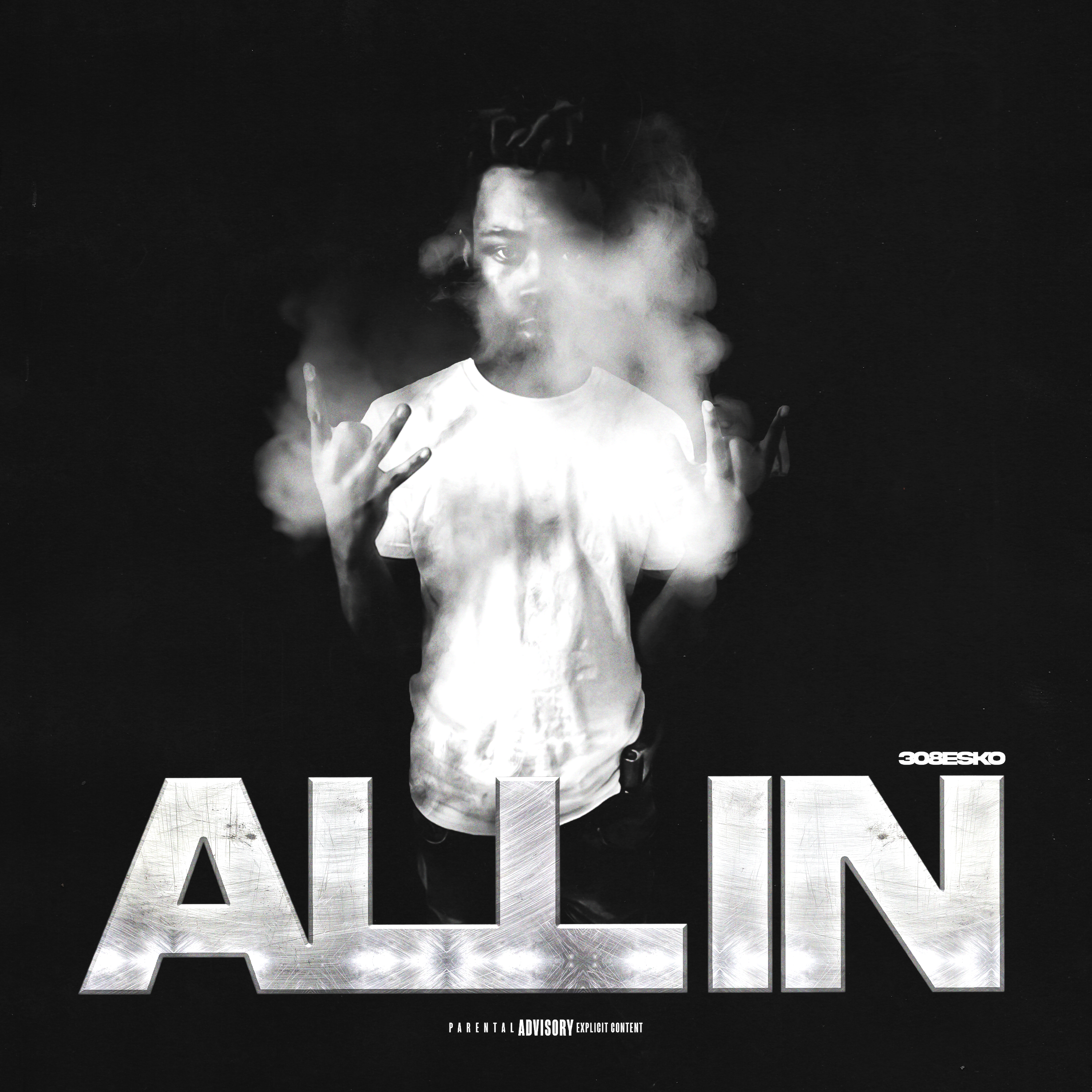 All In by 308esko cover art