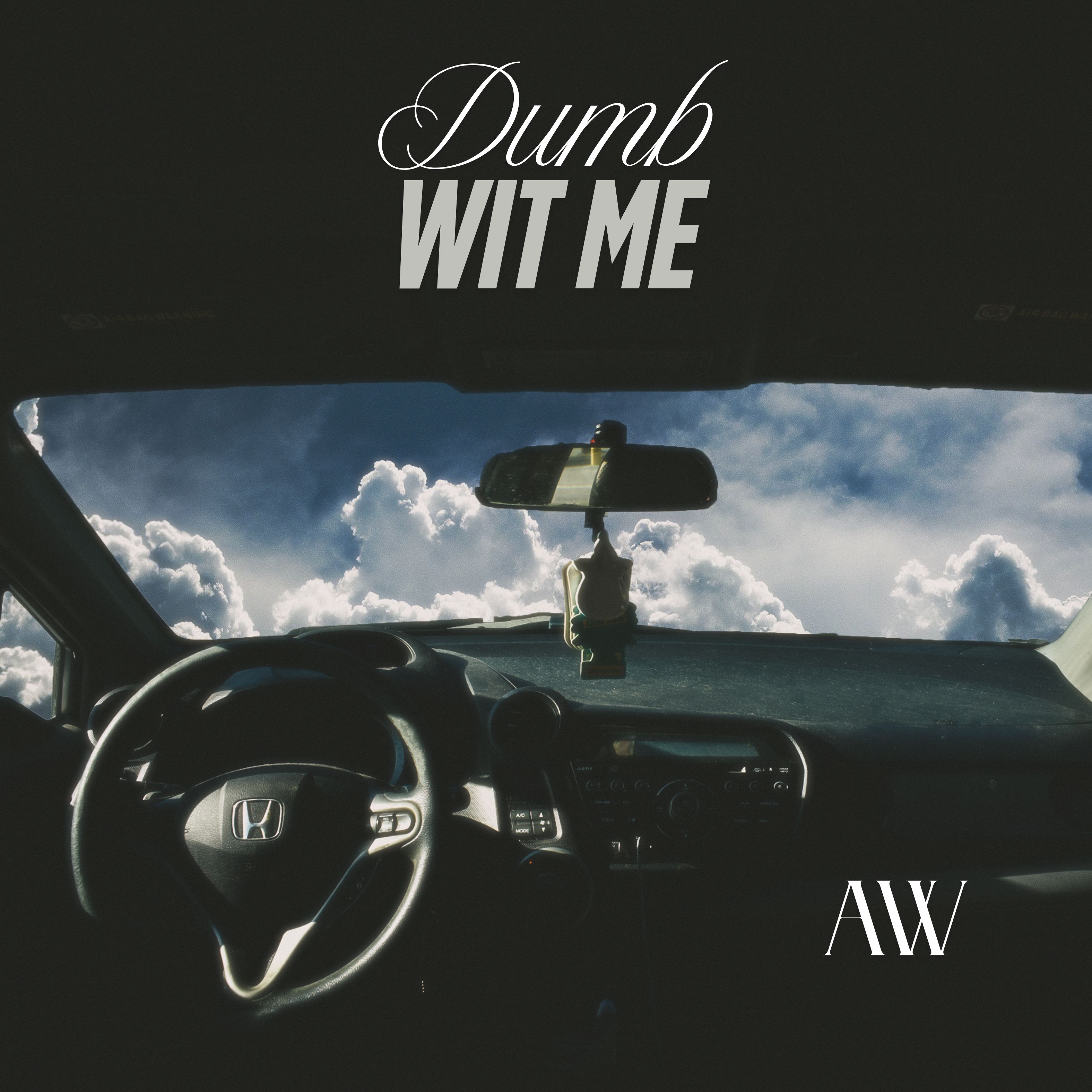 Dumb Wit Me artwork