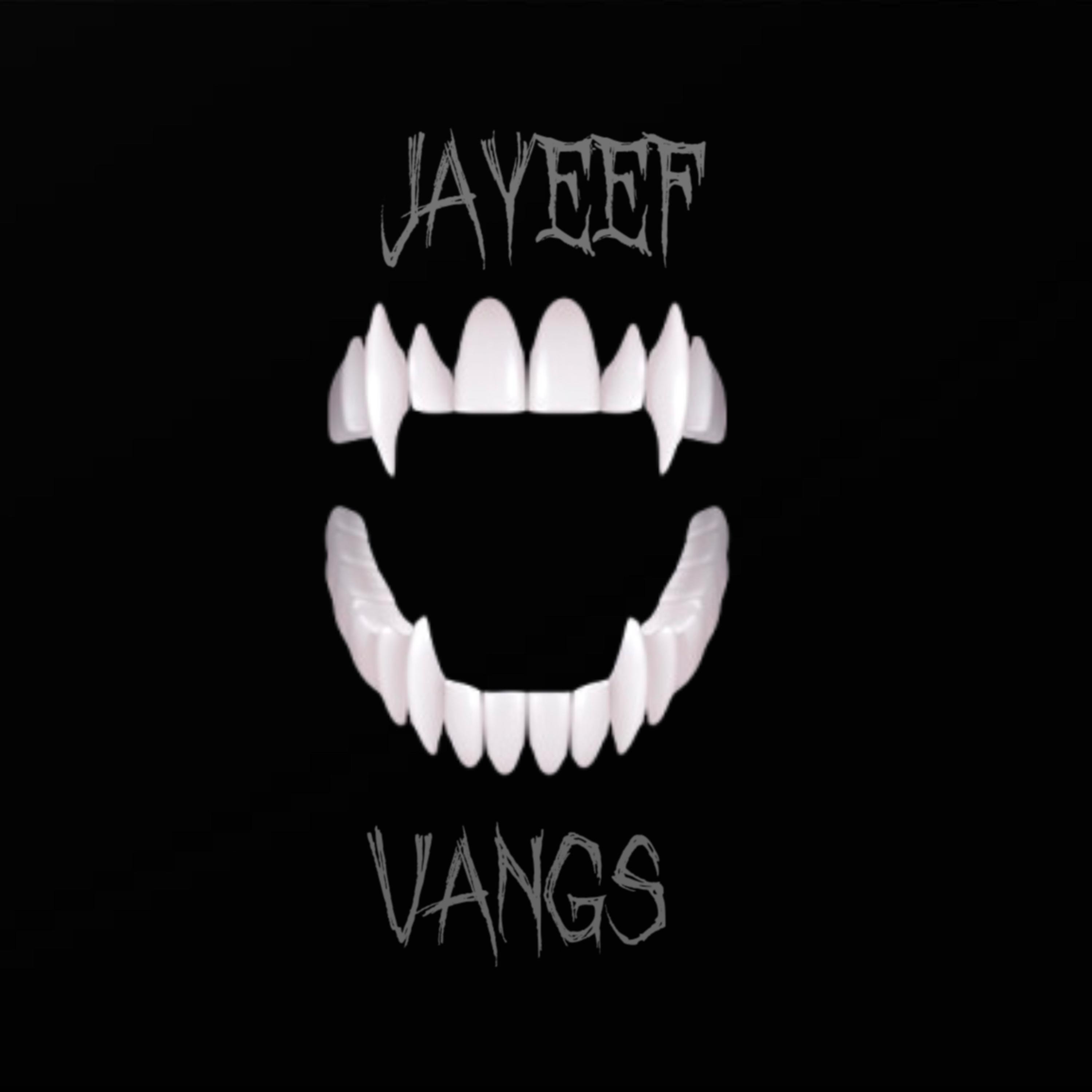 VANGS artwork
