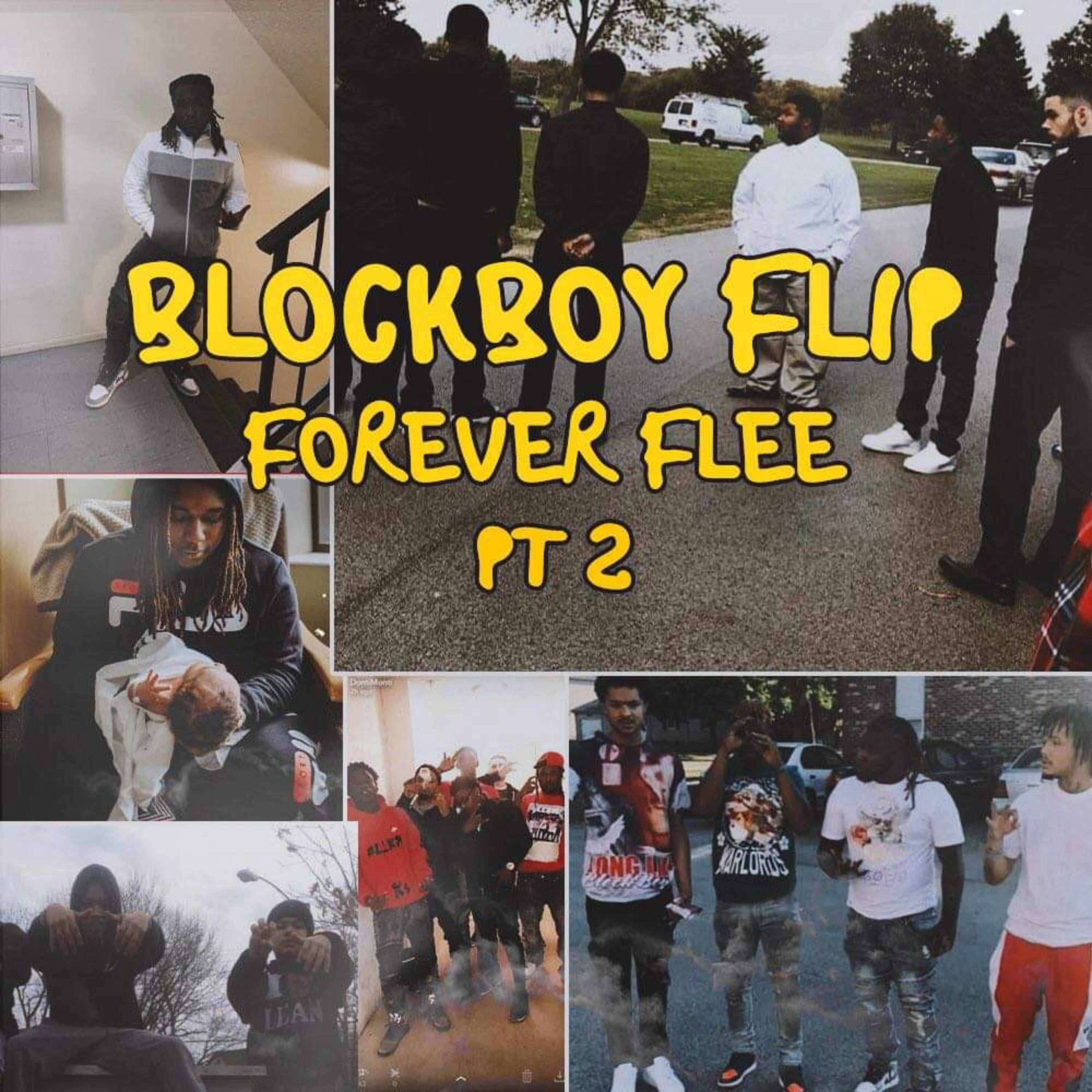 Forever Flee, Pt. 2 artwork