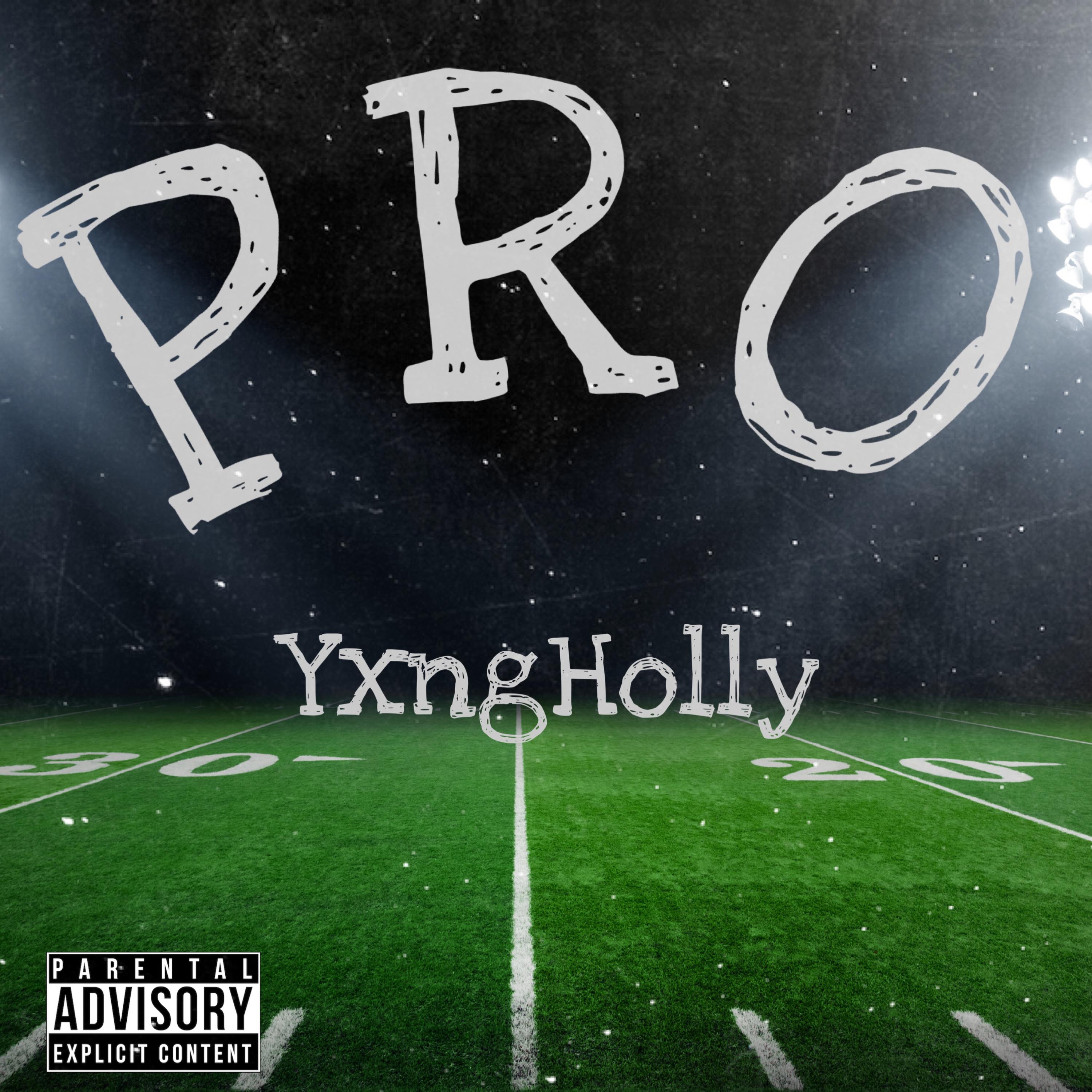 PRO artwork