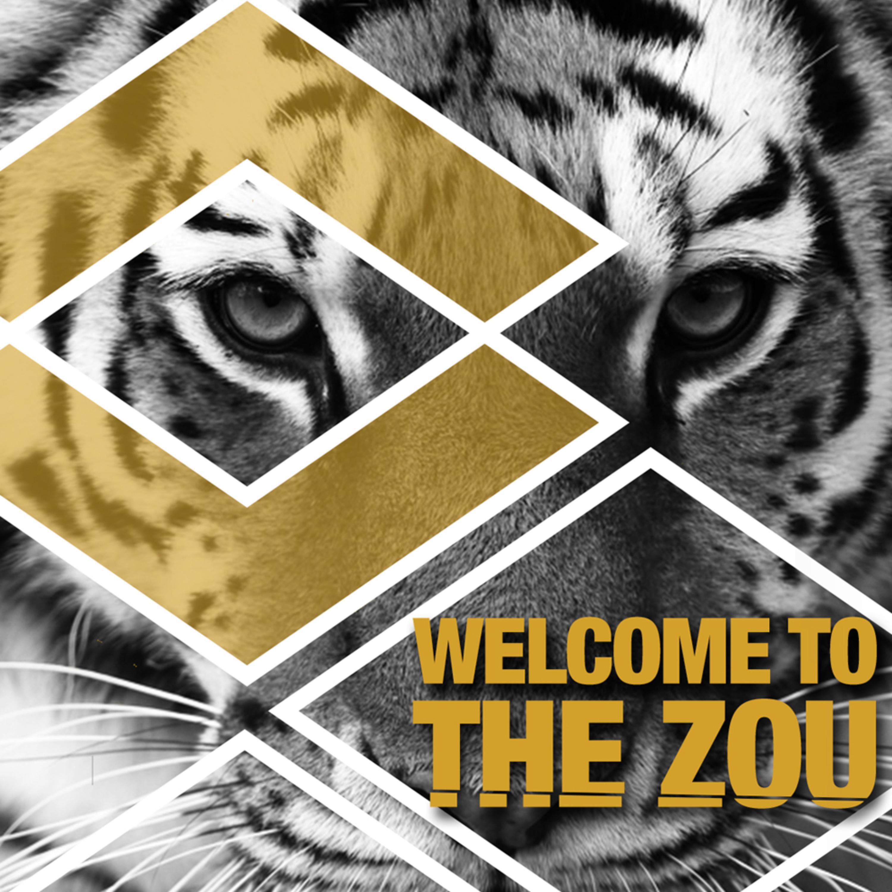 Welcome to the Zou by NicDanger cover art