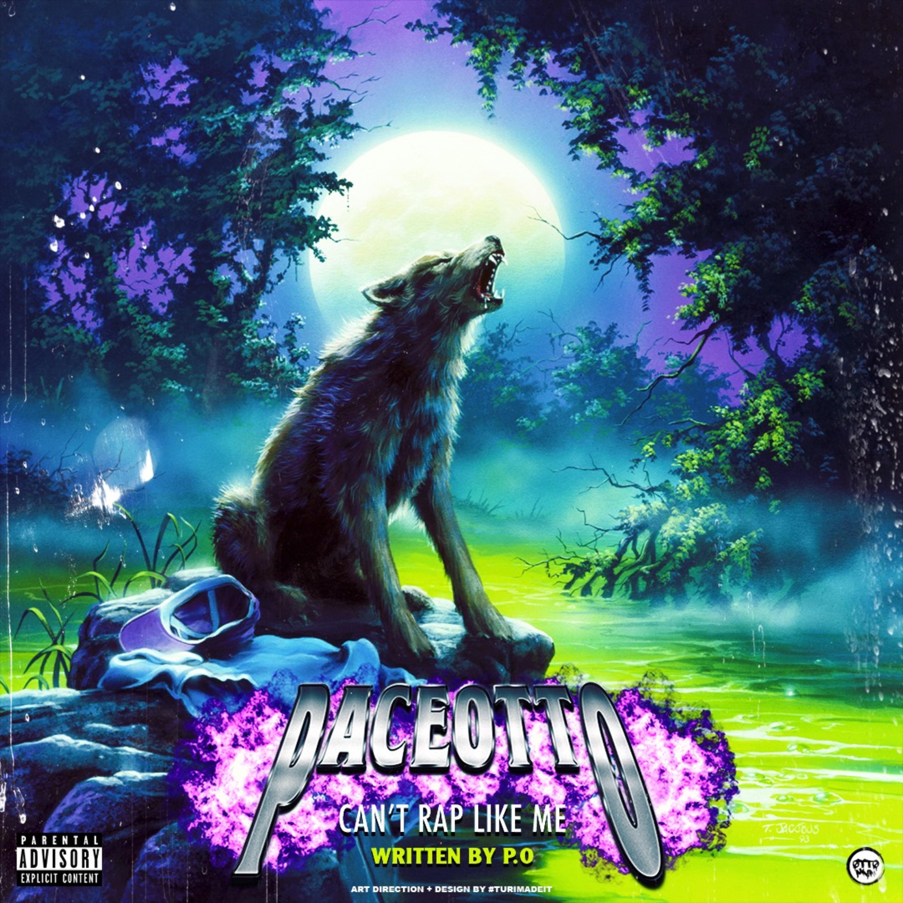 Cant Rap Like Me artwork