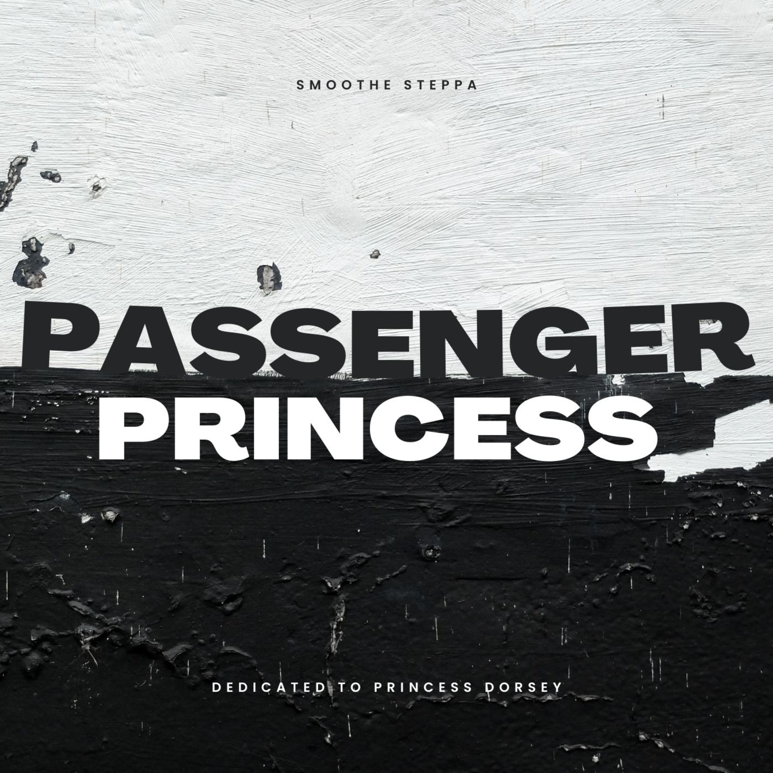 passenger princess artwork