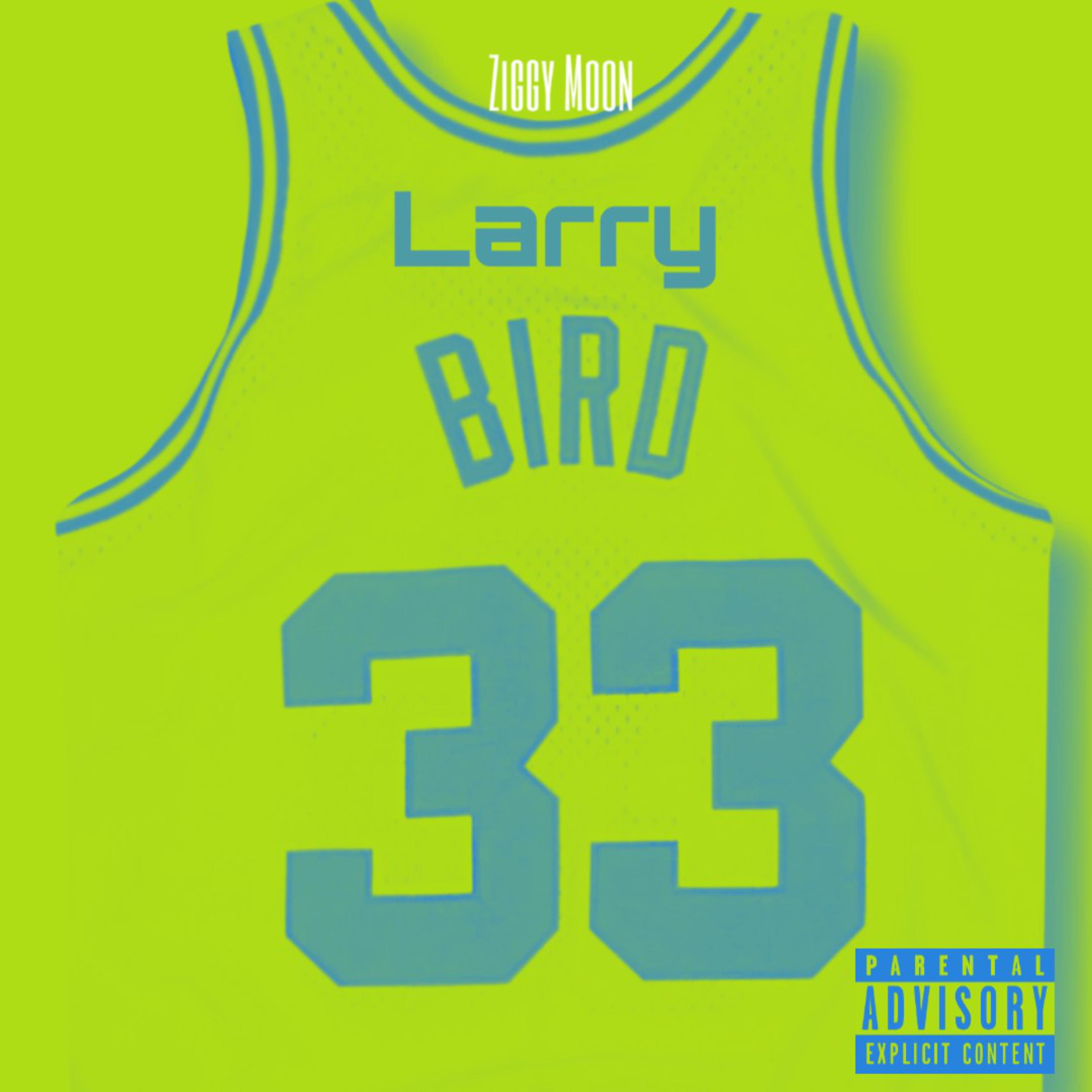 Larry Bird artwork