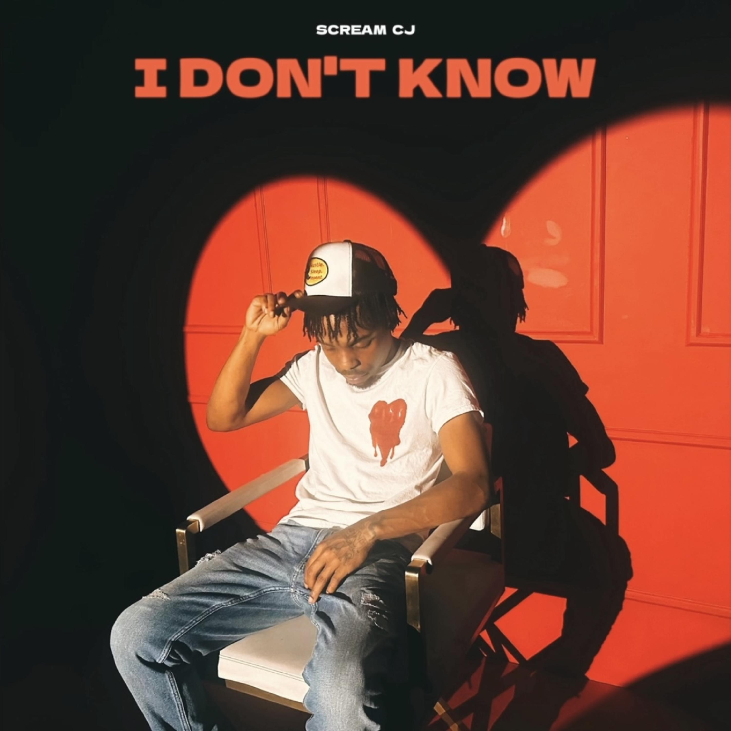 I Don’t Know! artwork