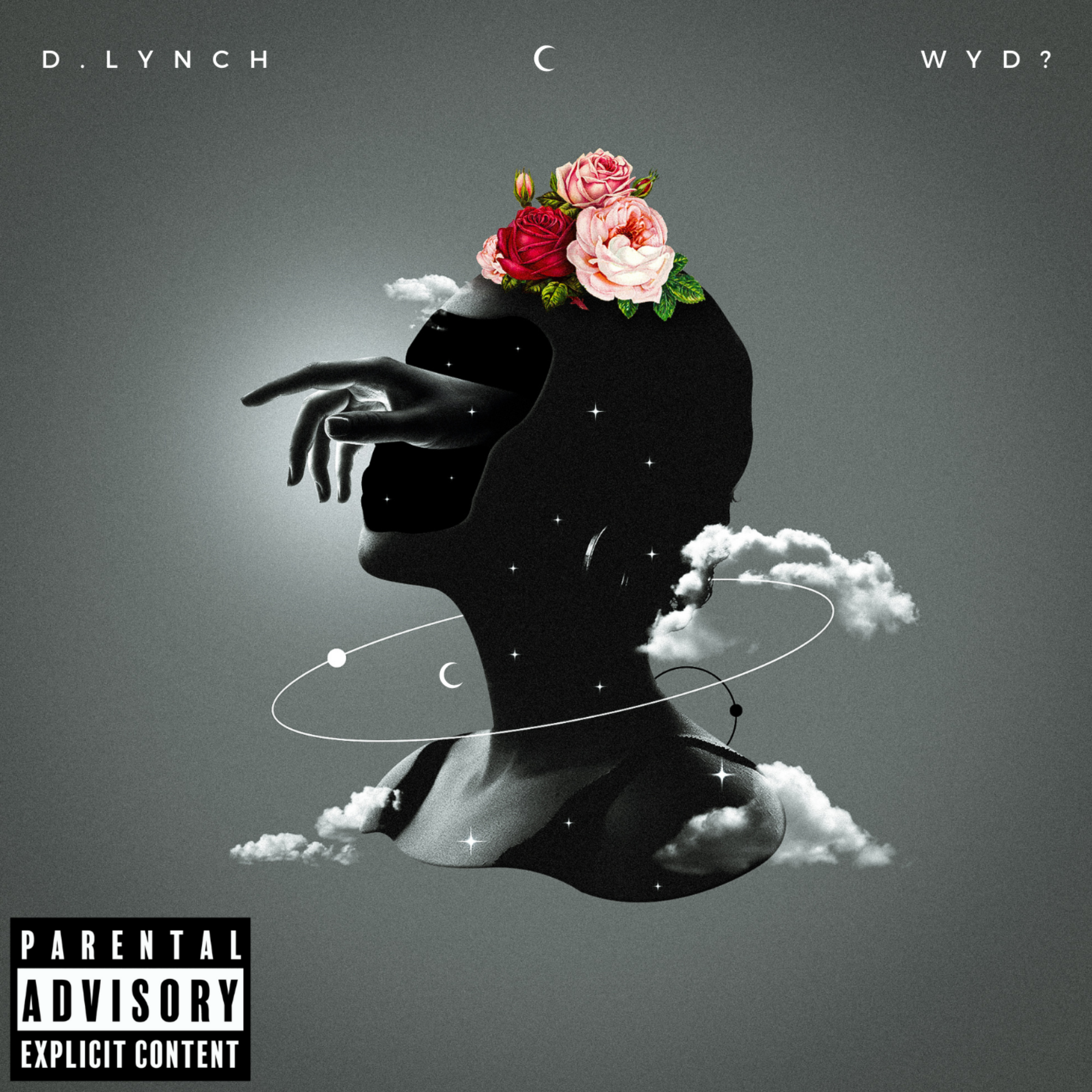 WYD? artwork