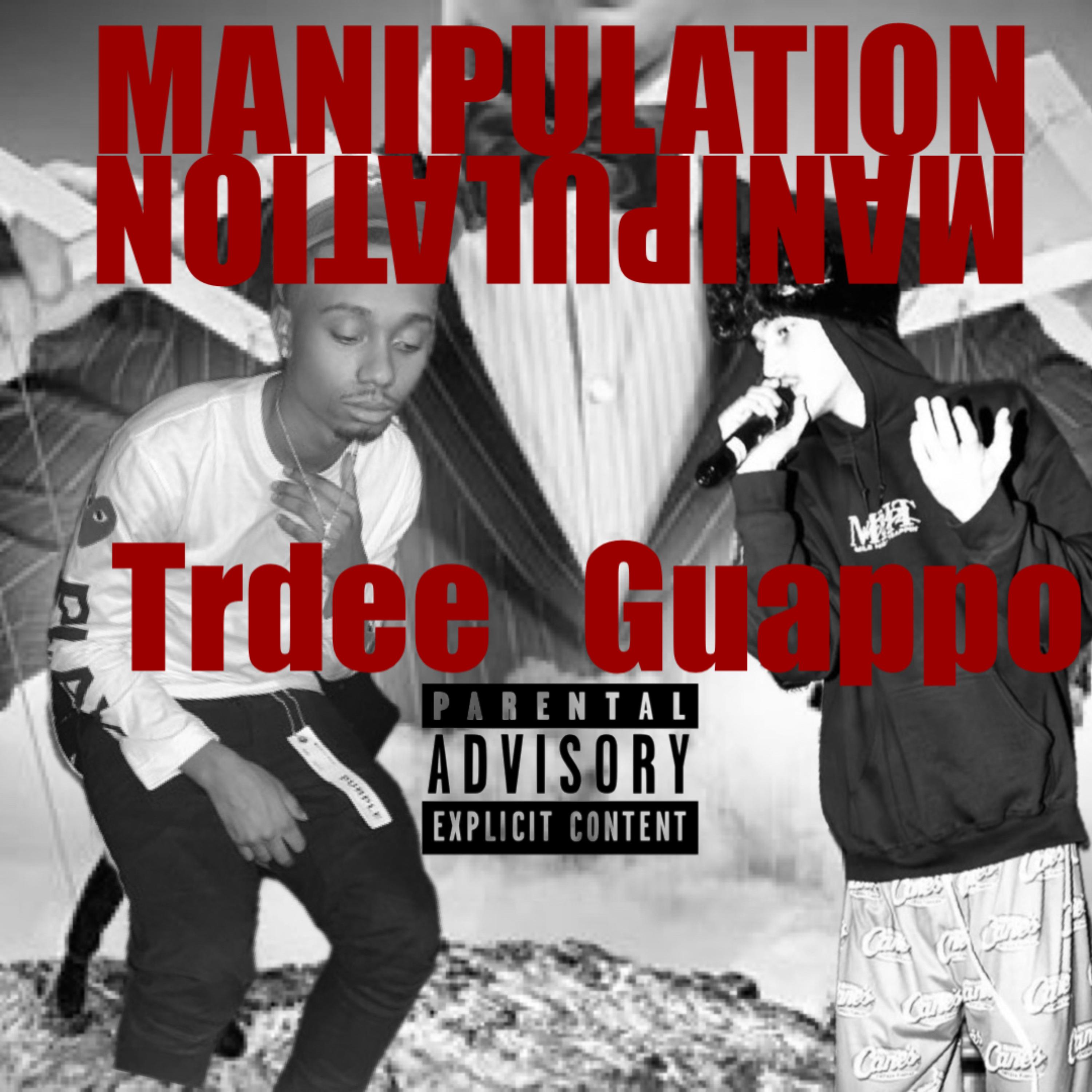 MANIPULATION artwork
