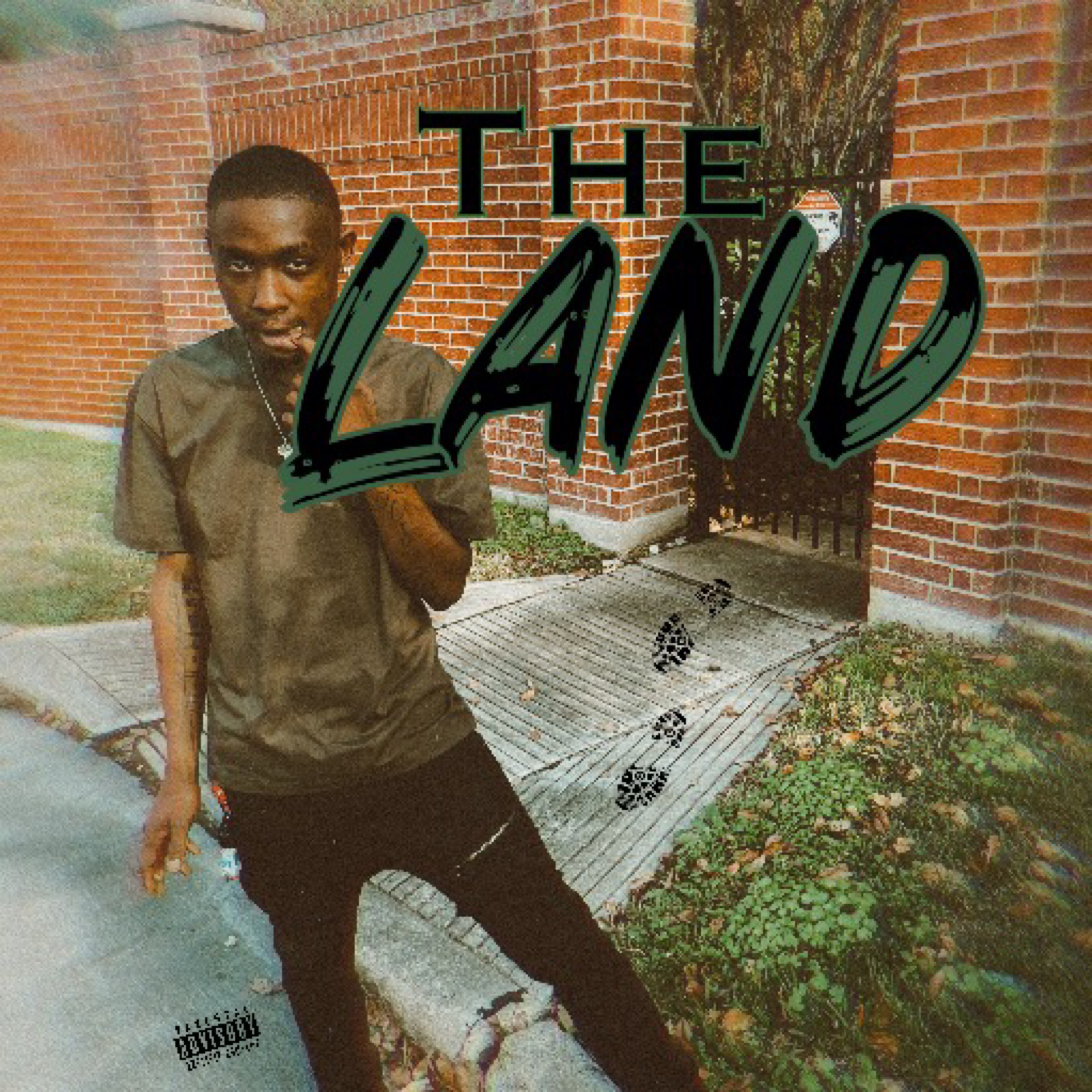 The Land artwork