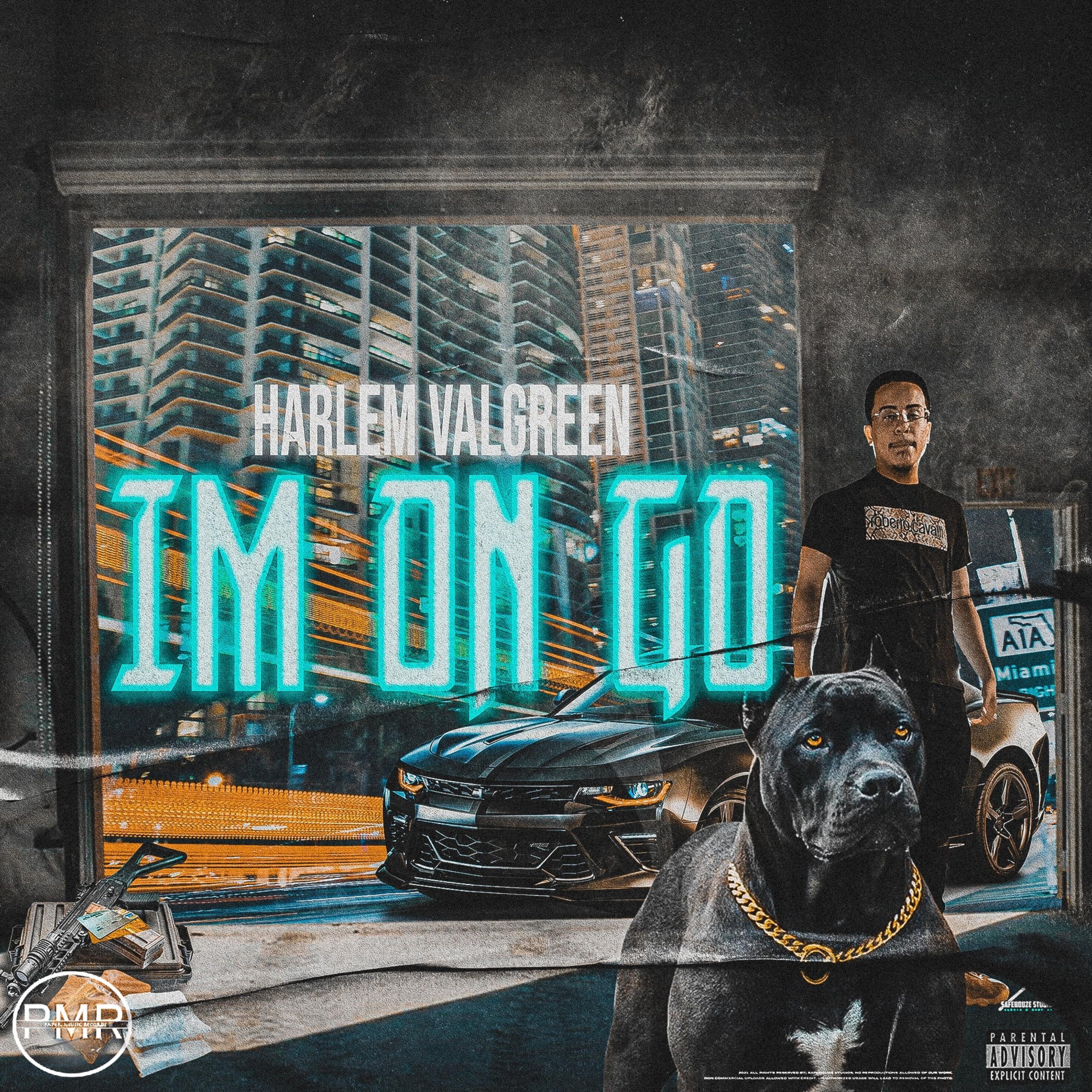 Im On Go artwork