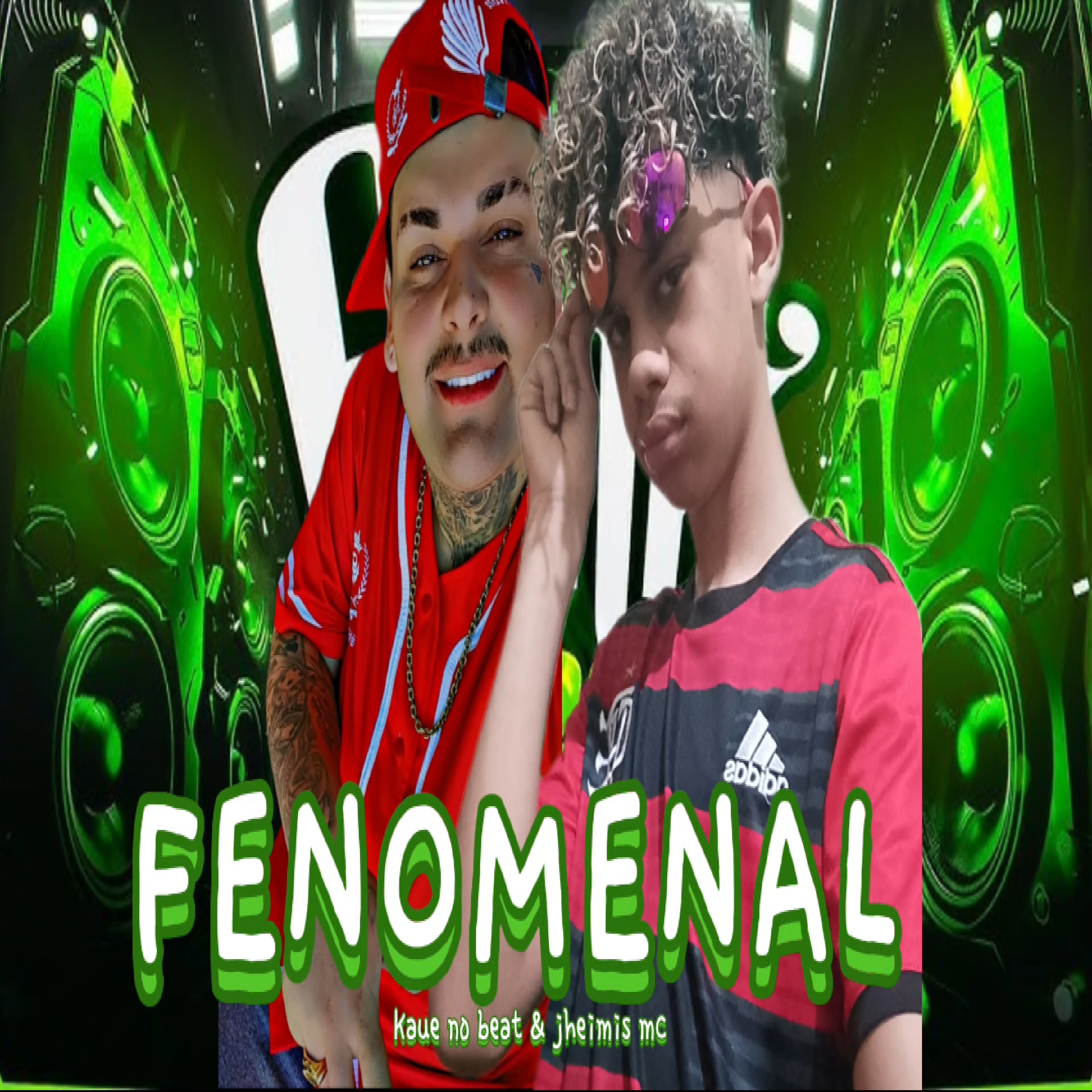 FENOMENAL artwork
