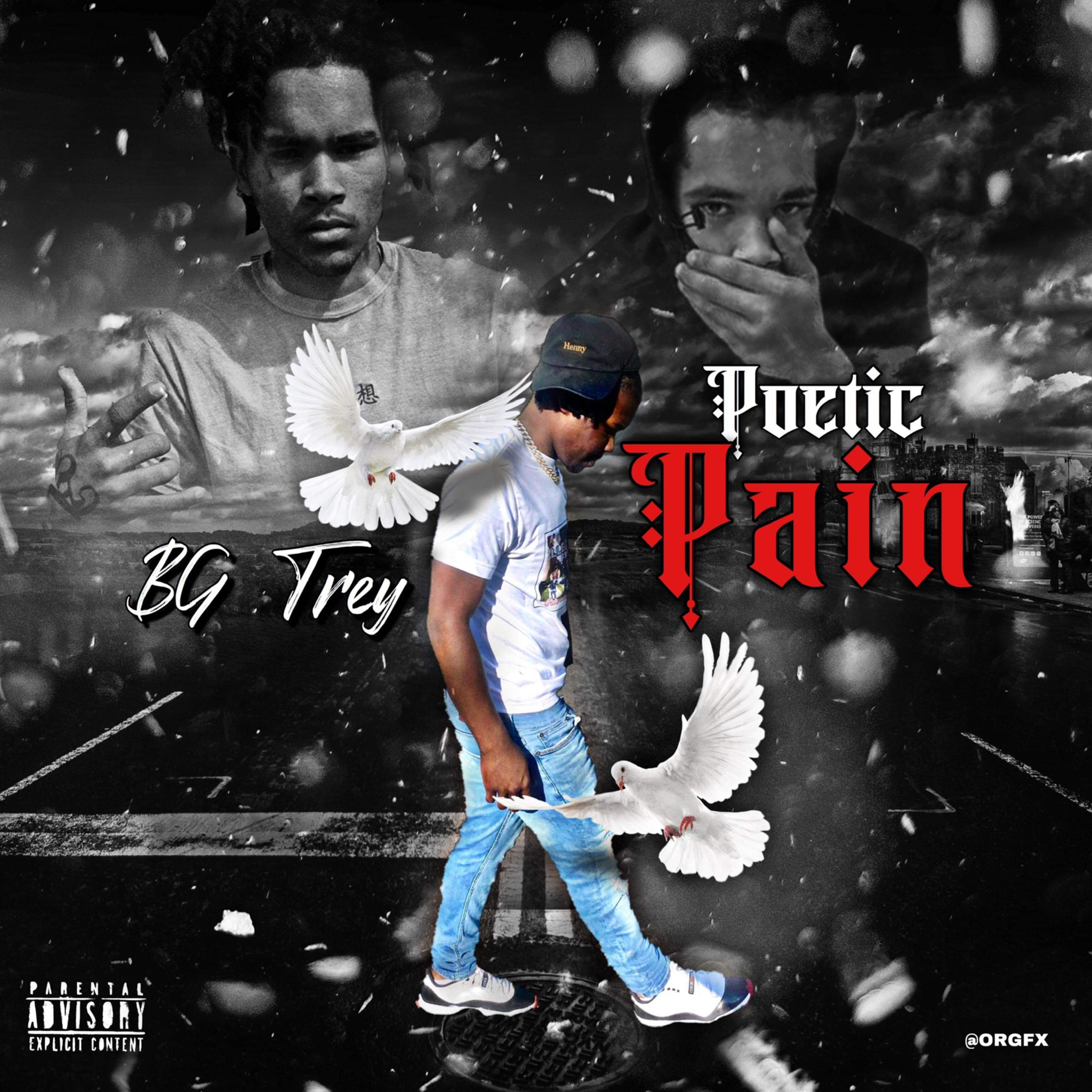 Poetic Pain artwork