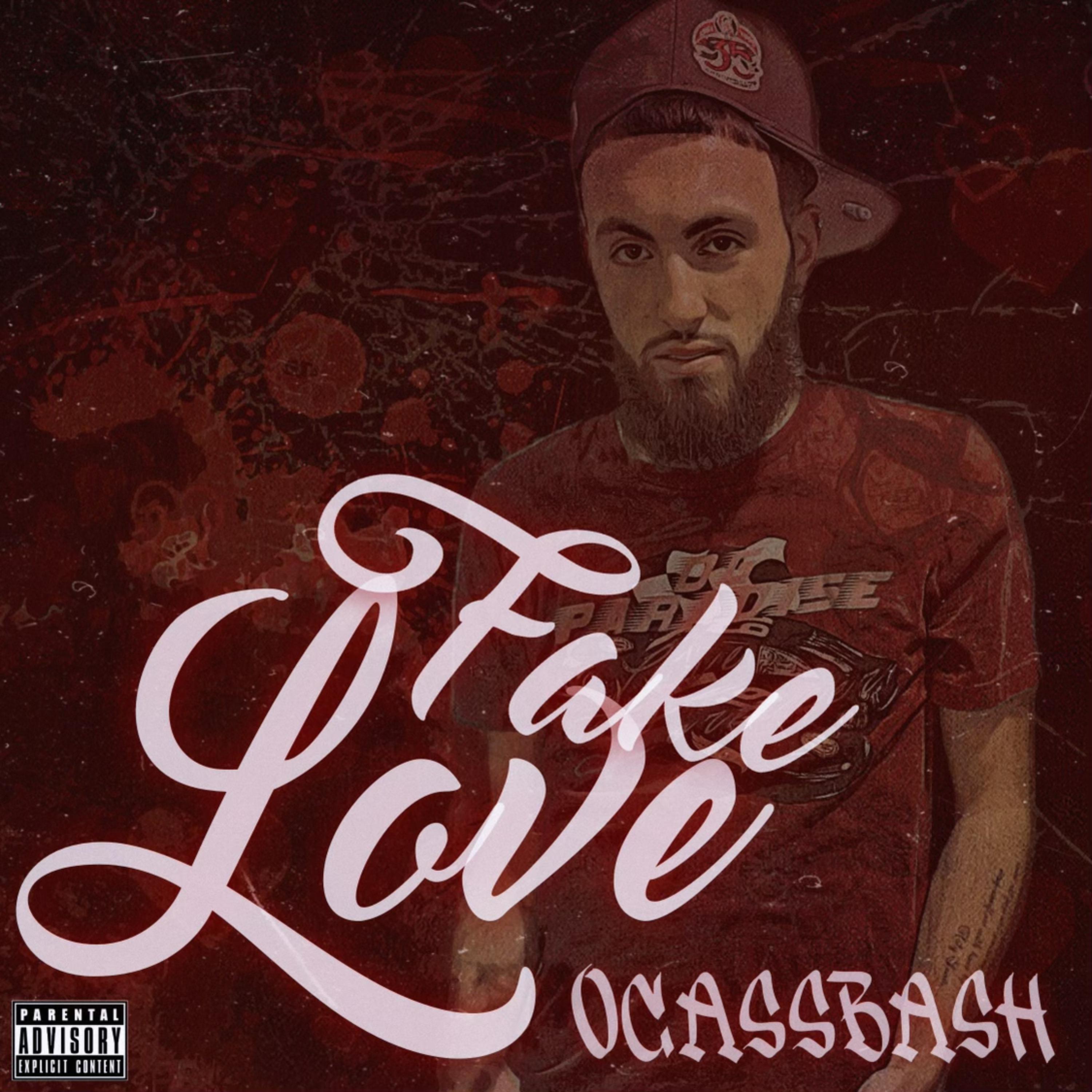 Fake Love by Ocassbash cover art