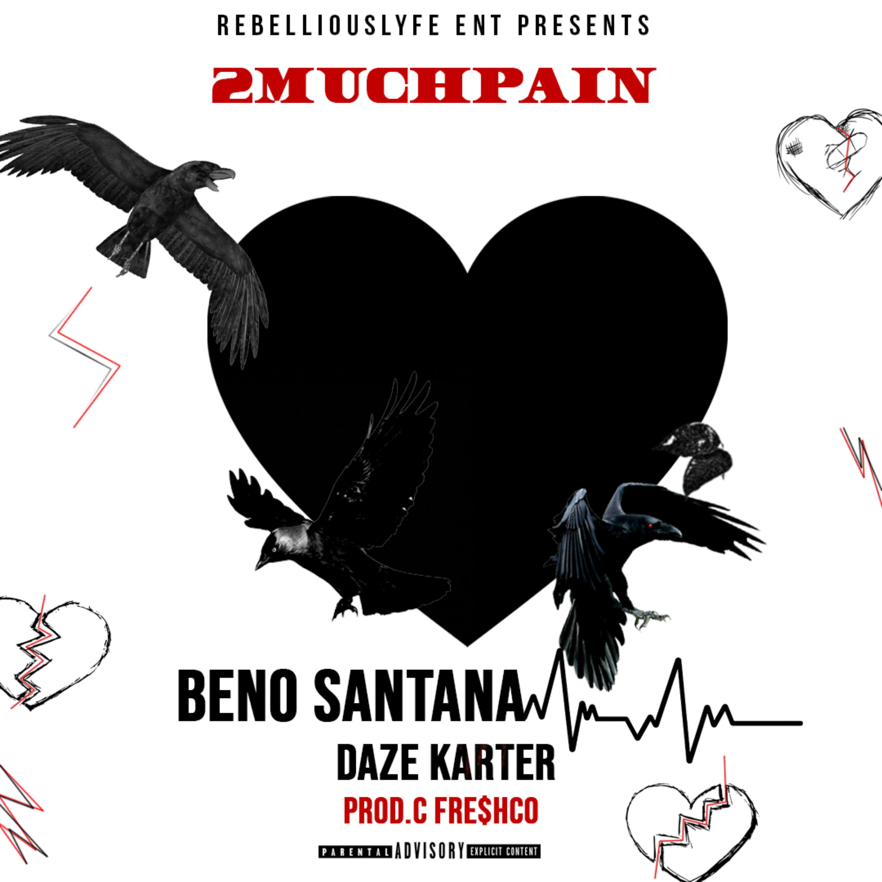 2MUCHPAIN artwork