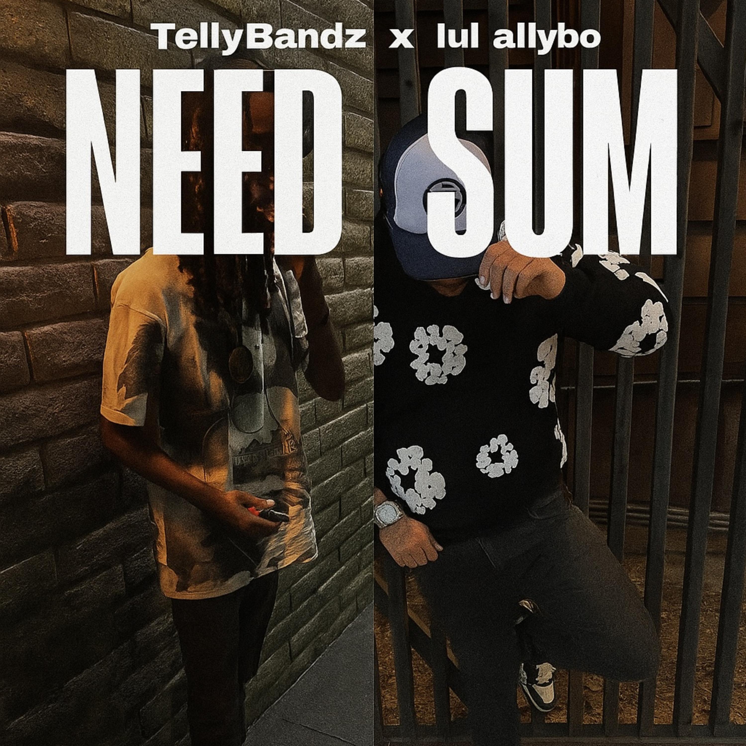 Need Sum artwork