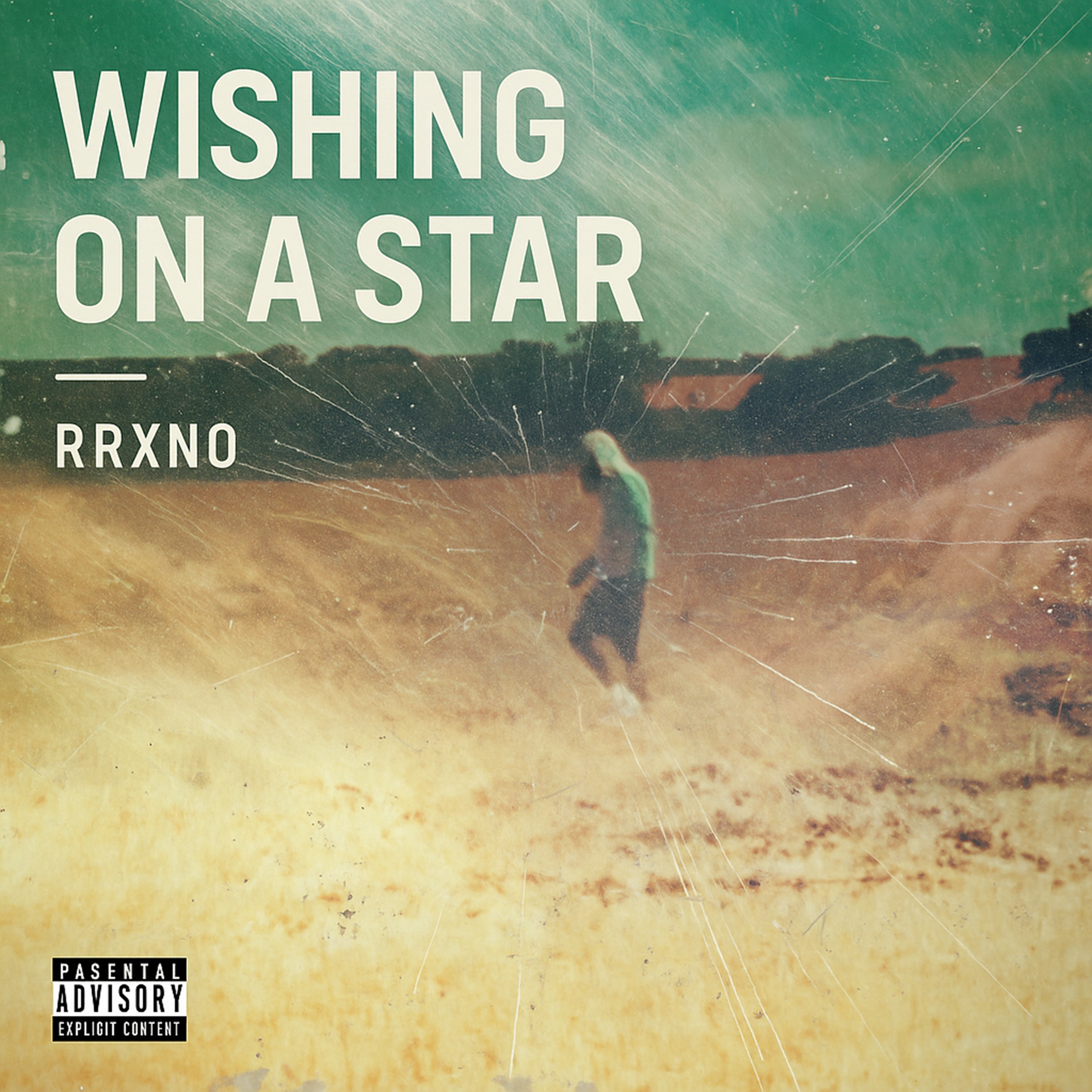 Wishing On A Star artwork