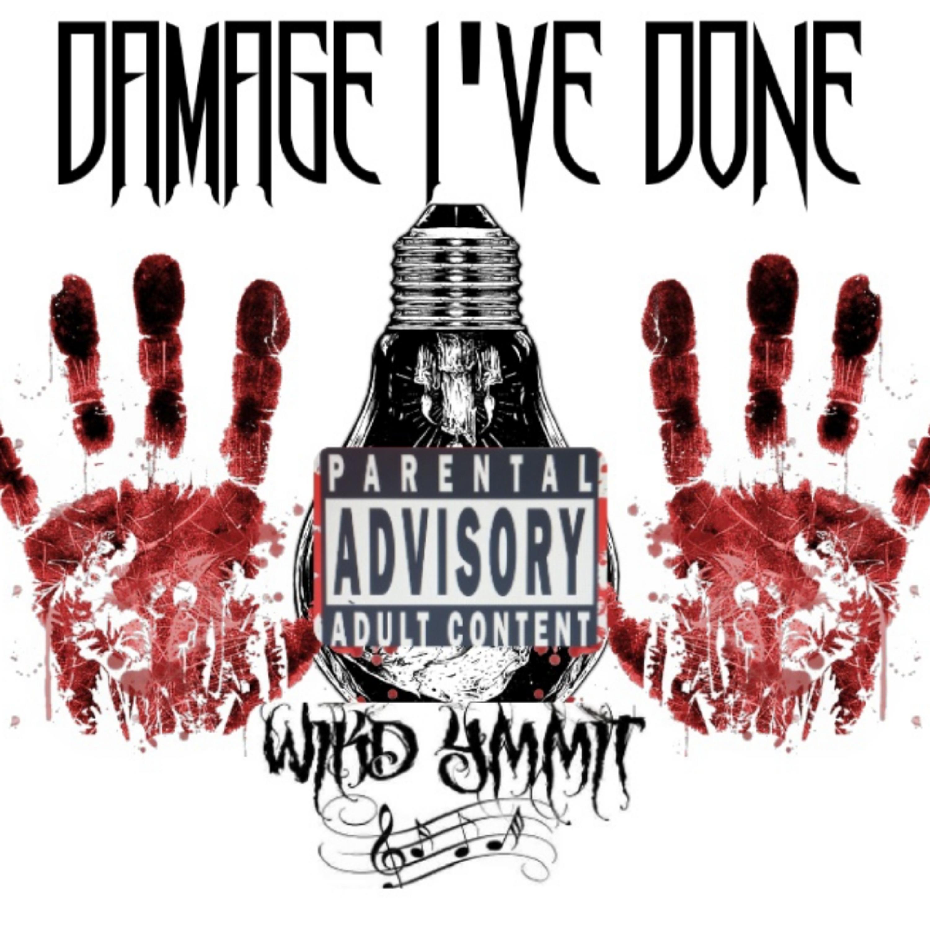 Damage I've done  by Wikd Ymmit cover art