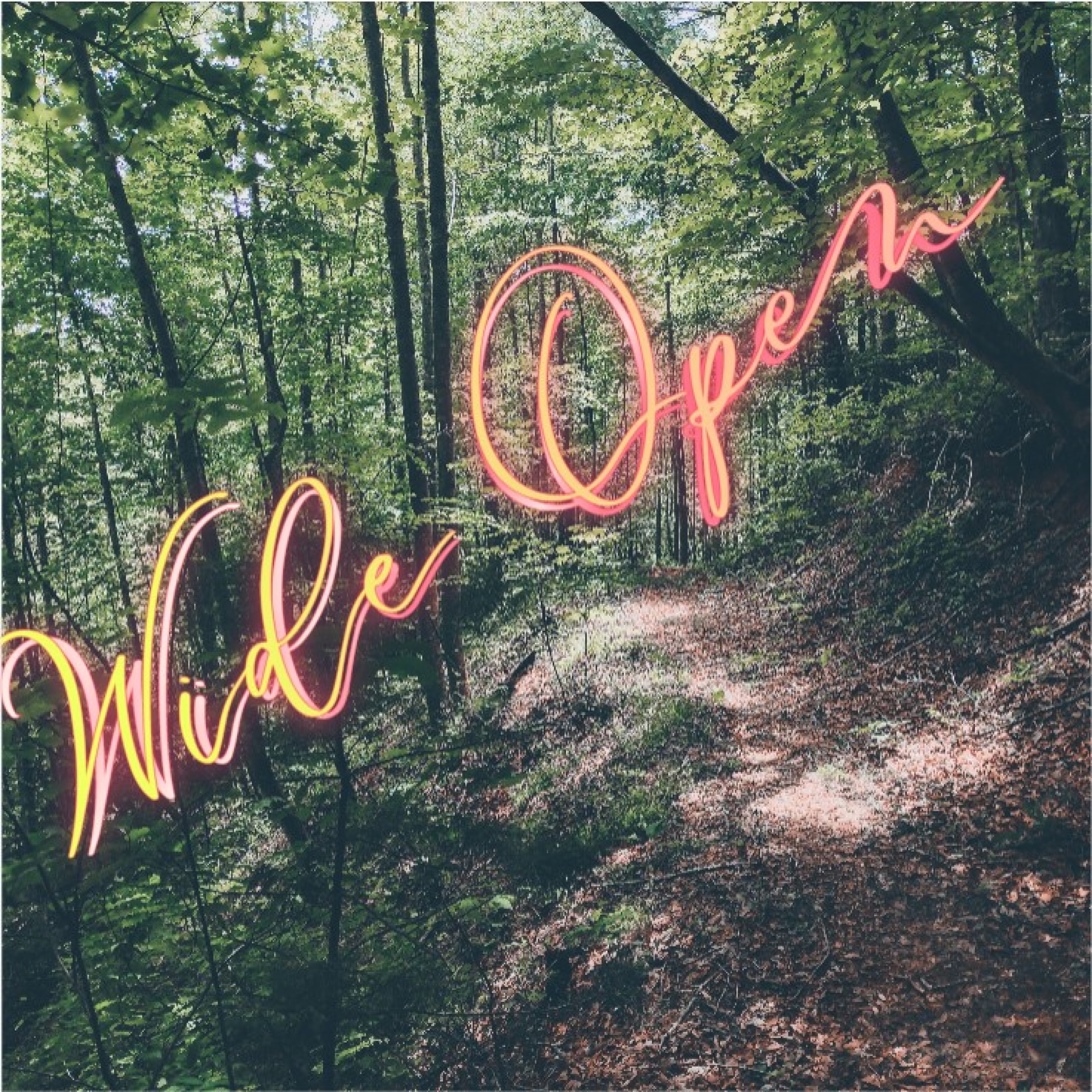 Wide Open artwork