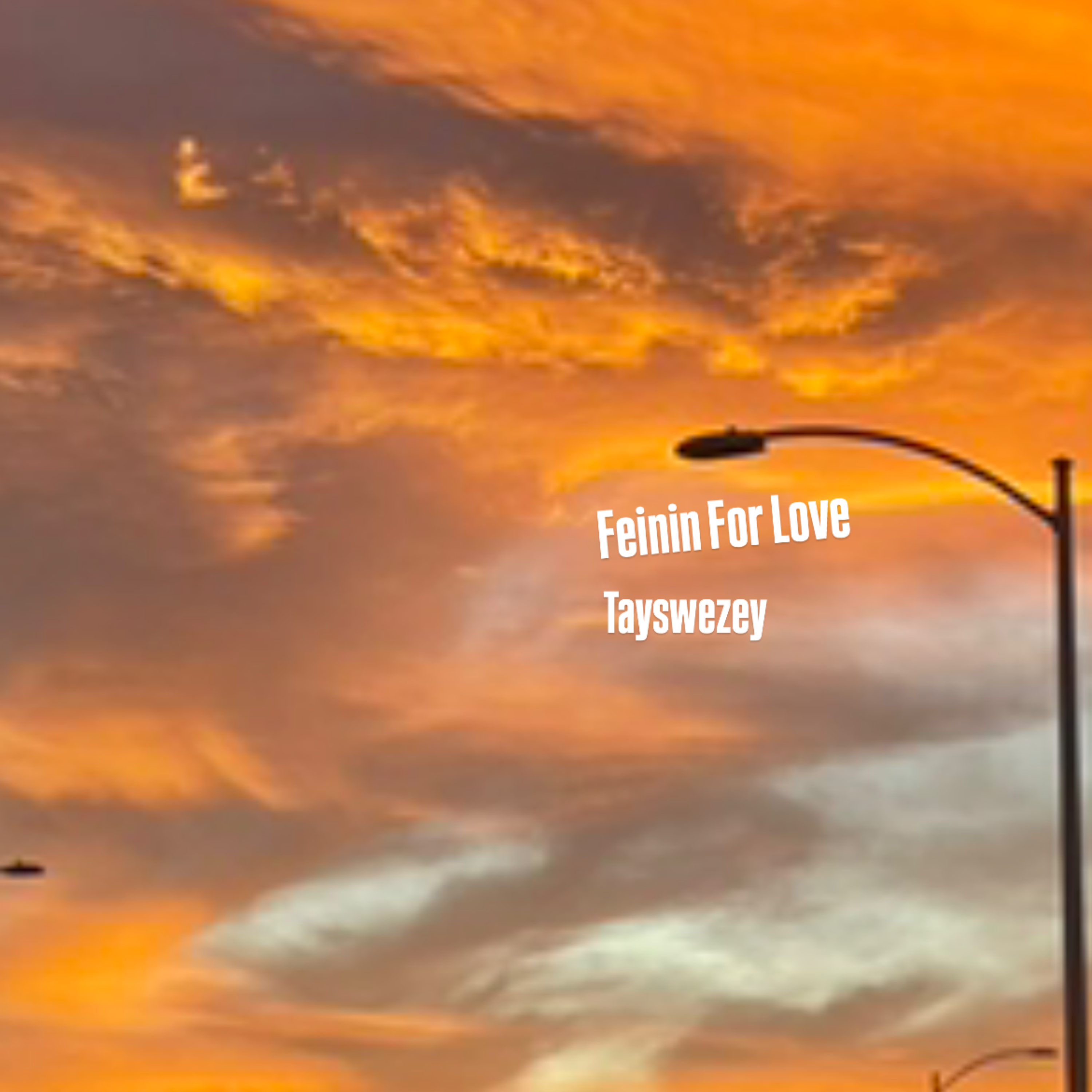Feinin For Love artwork