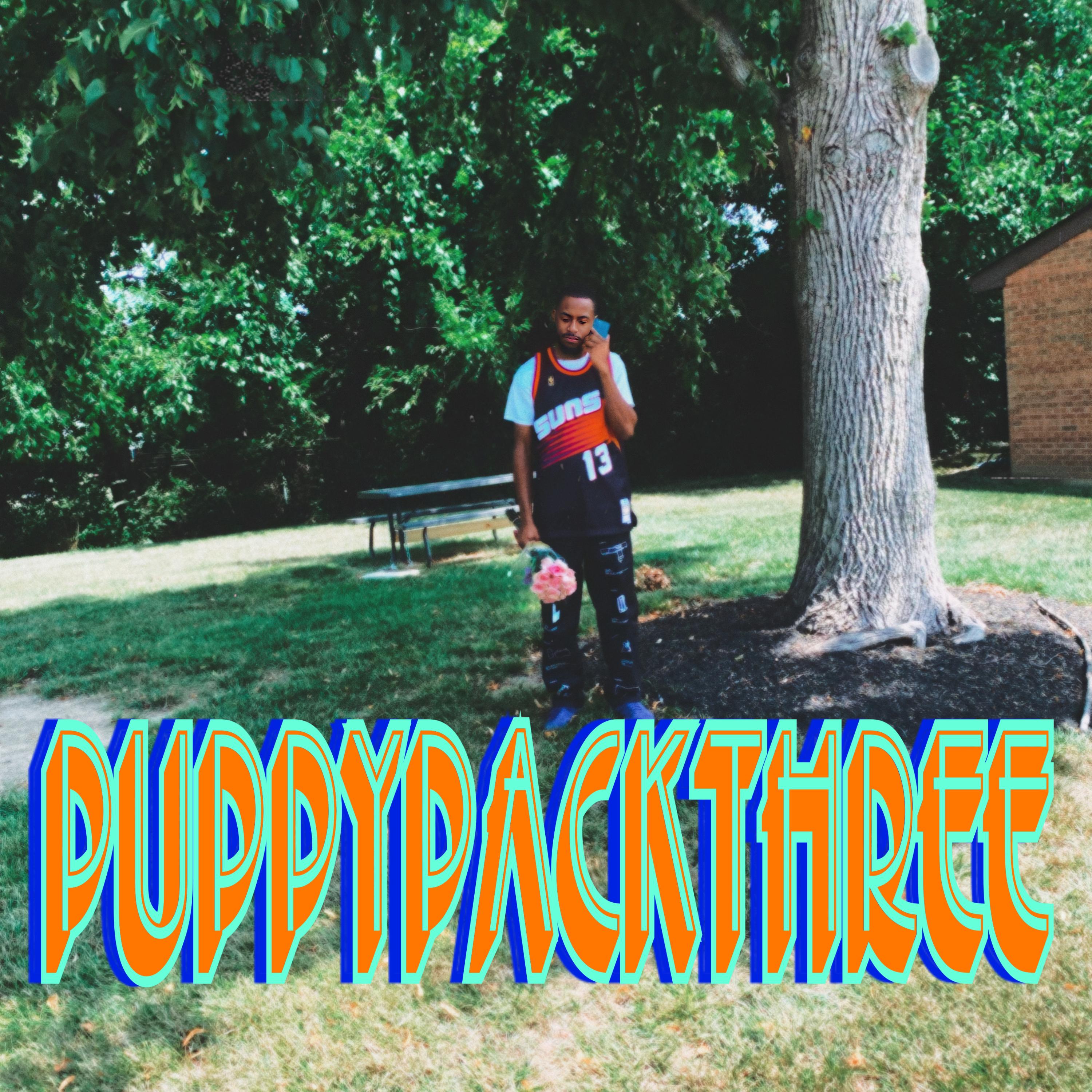 PUPPYPACK.THREE artwork