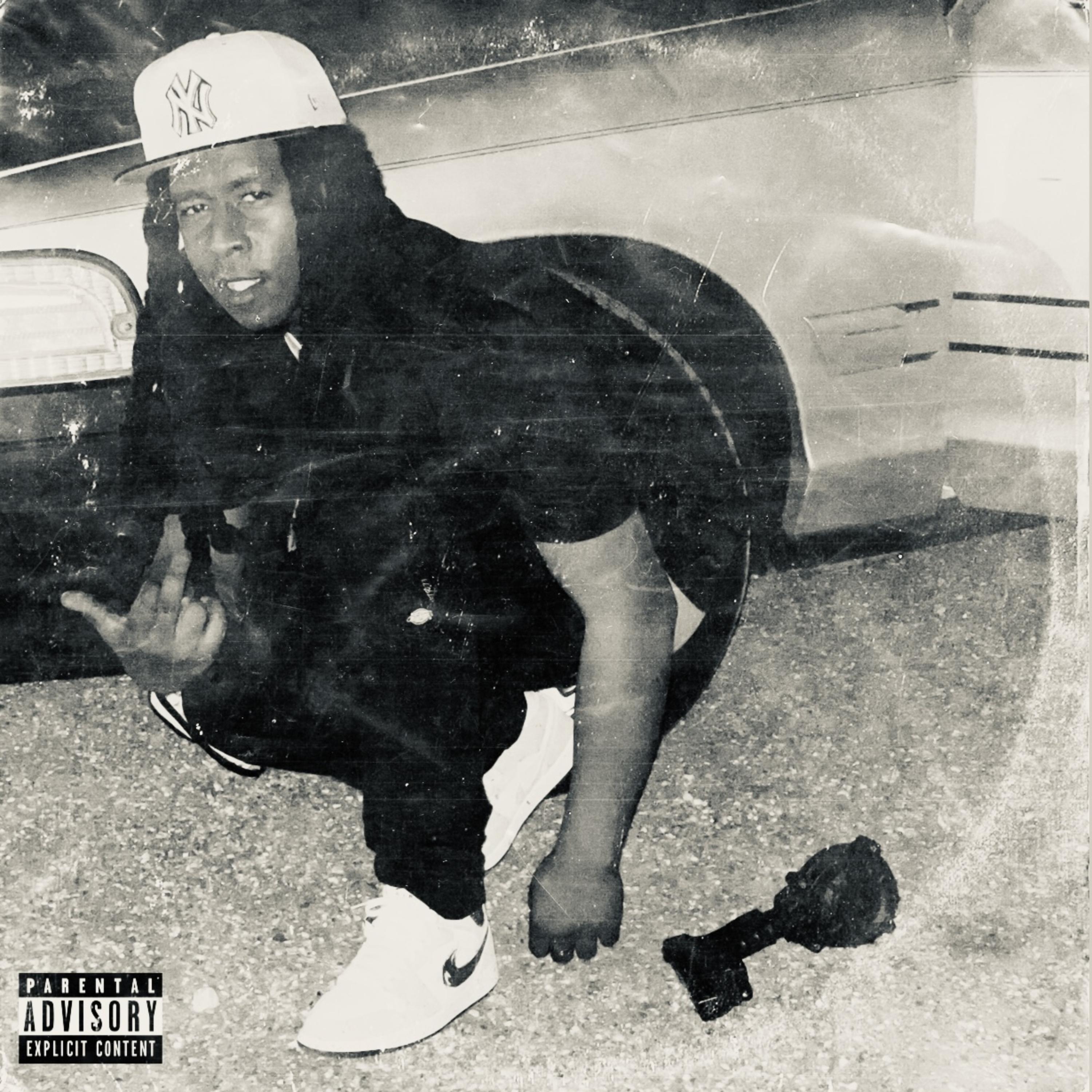 Louisianimals by JayMoola cover art